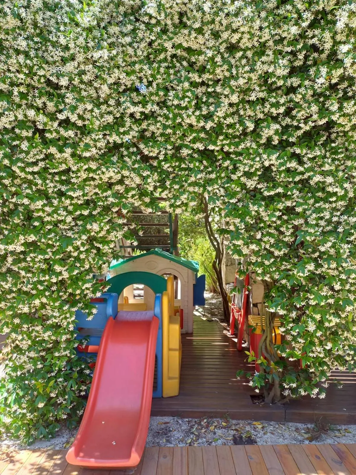 Garden in Valeria House Rental Suites