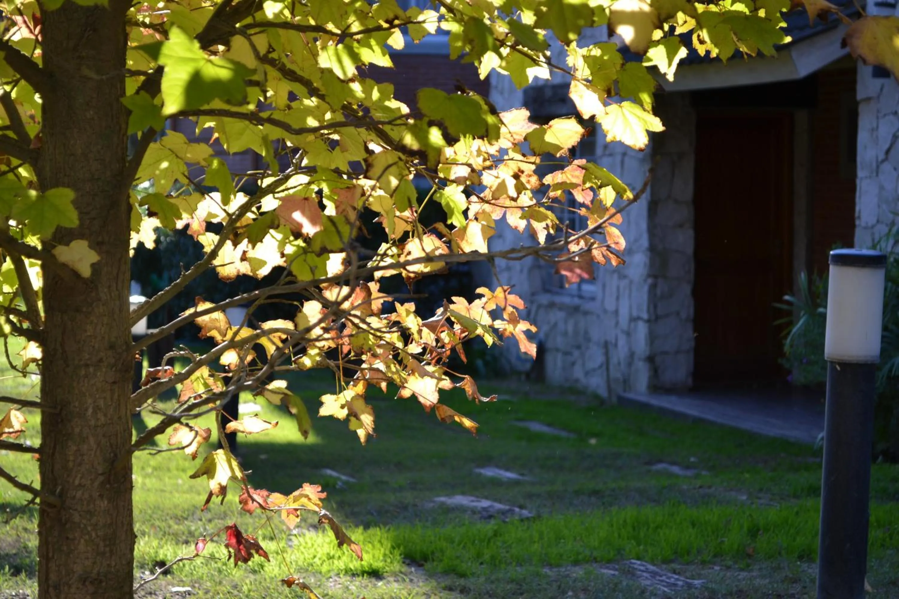Natural landscape in Valeria House Rental Suites