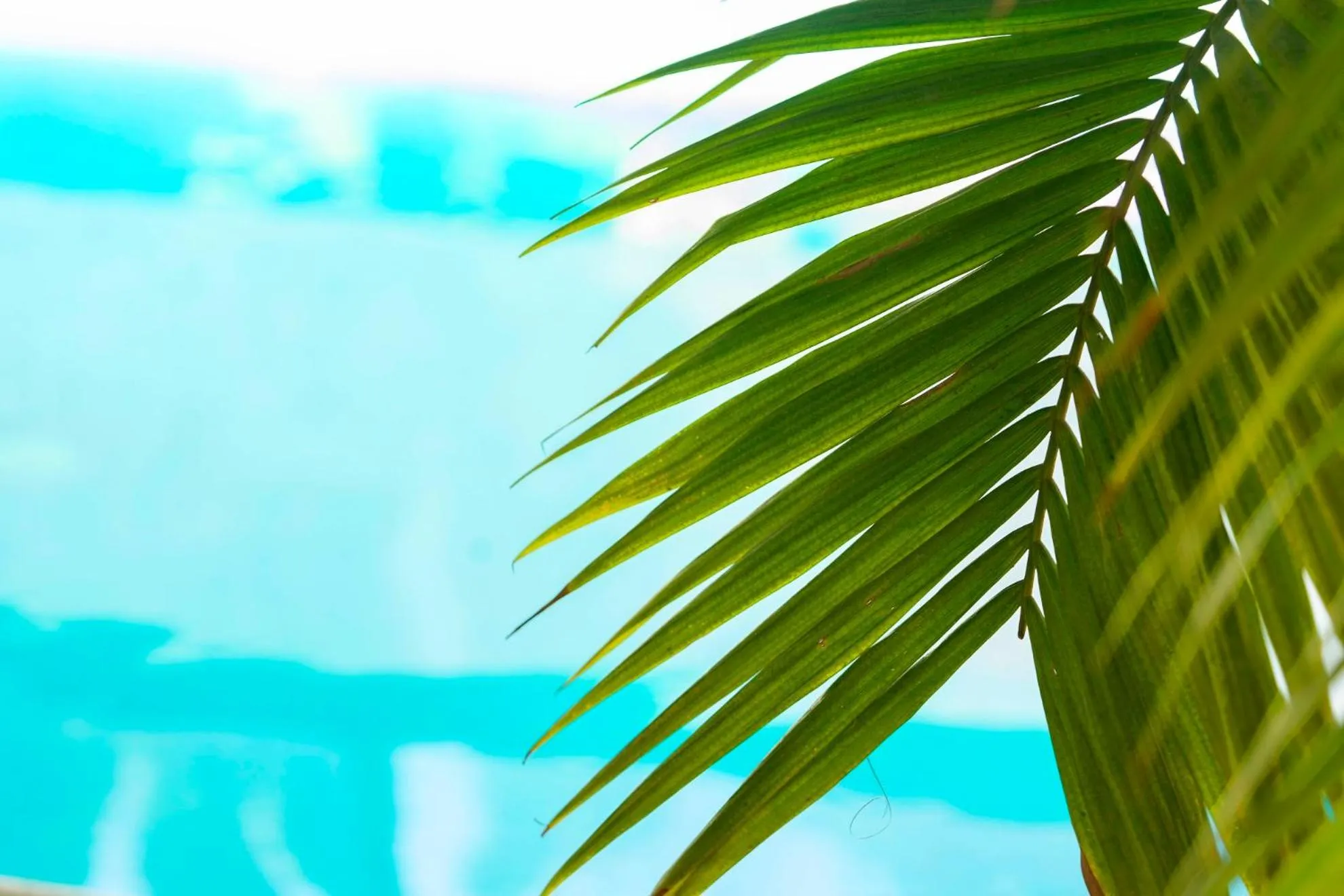 Swimming pool in Valeria House Rental Suites