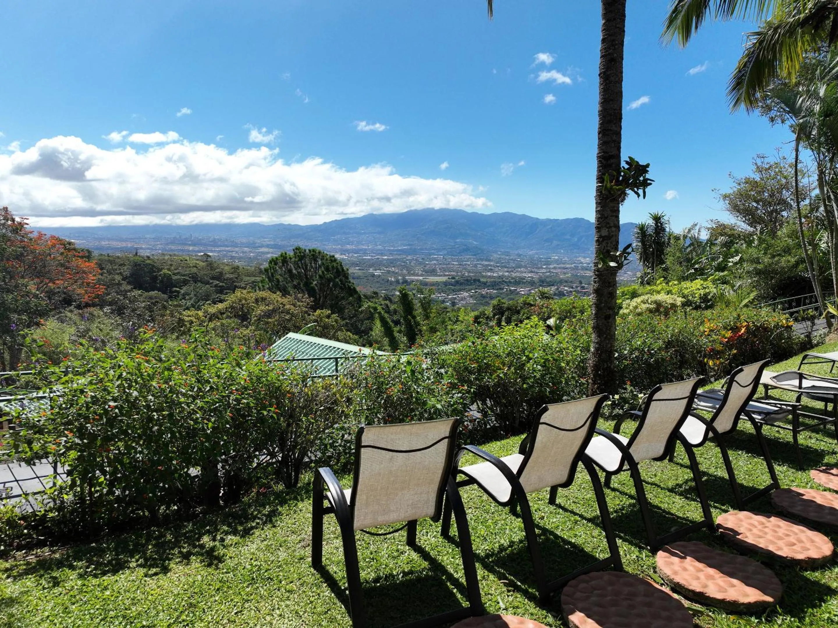 Garden in Buena Vista Chic Hotel