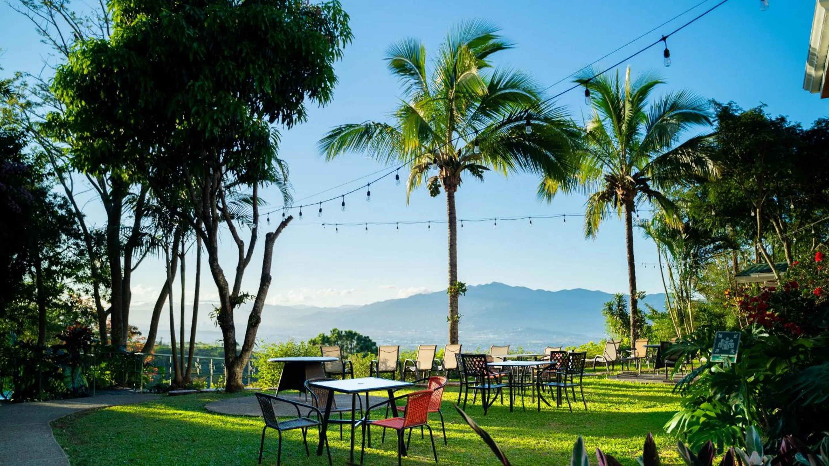 Day in Buena Vista Chic Hotel