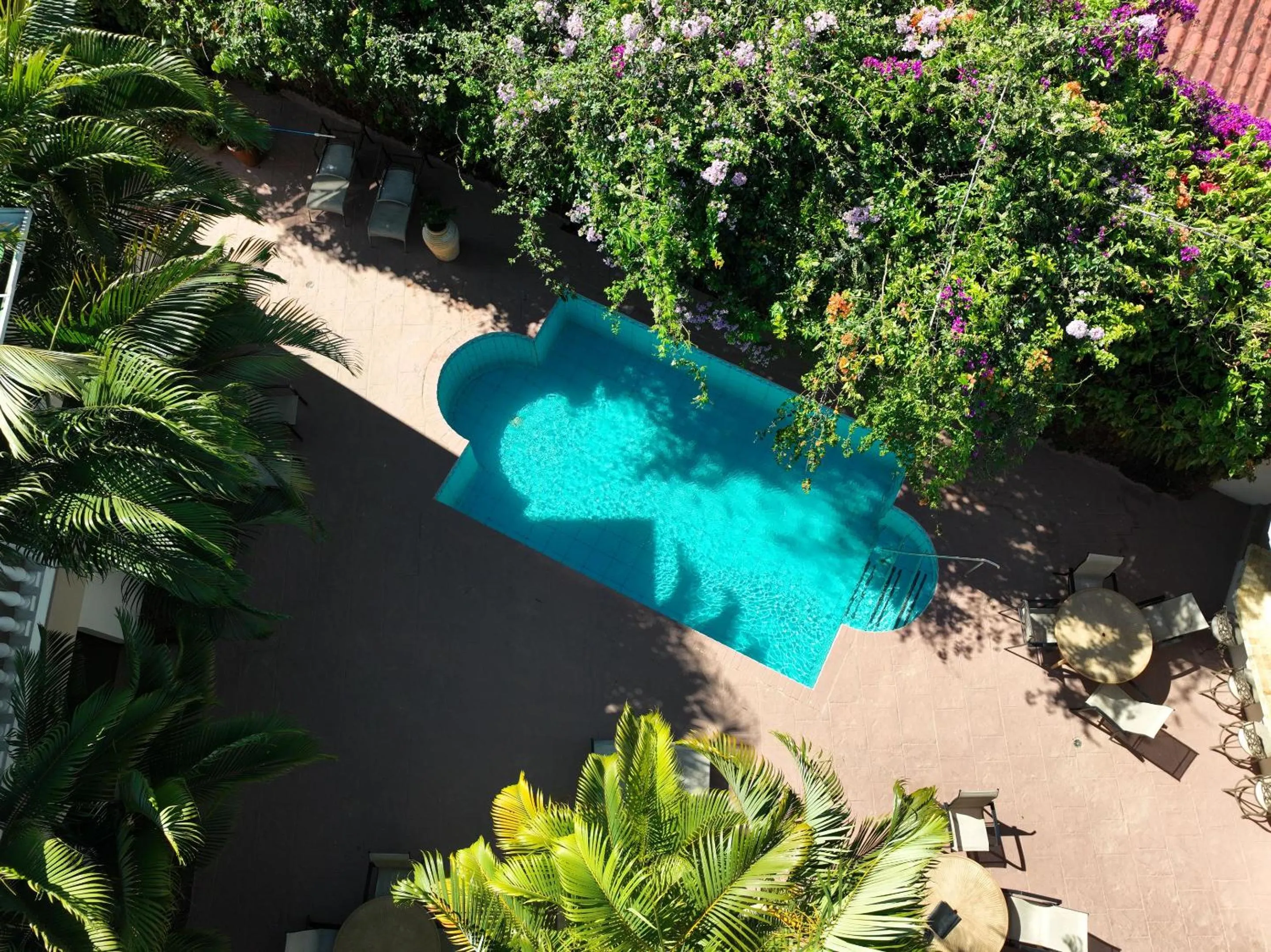 Swimming pool in Buena Vista Chic Hotel