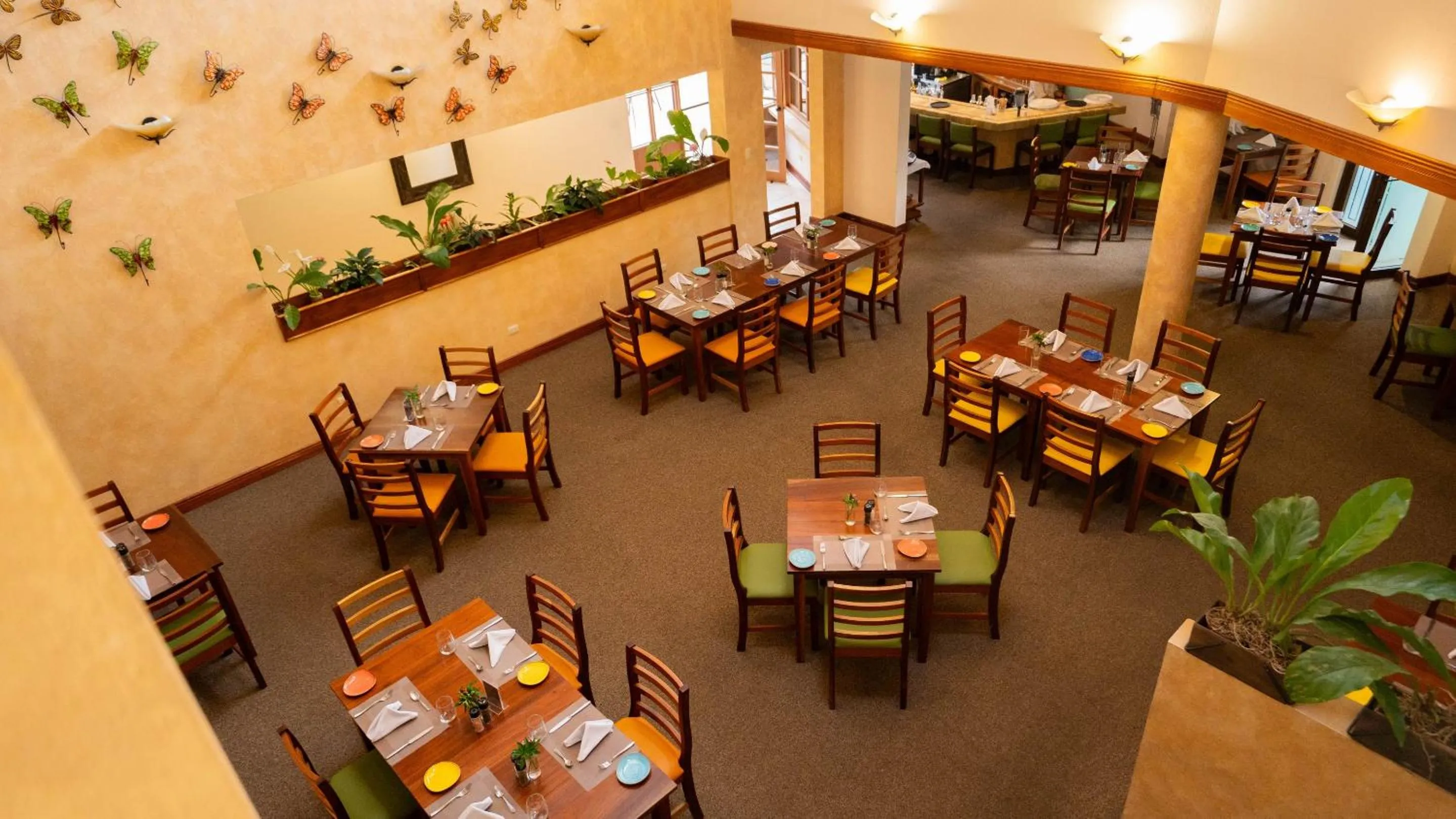 Restaurant/places to eat in Buena Vista Chic Hotel