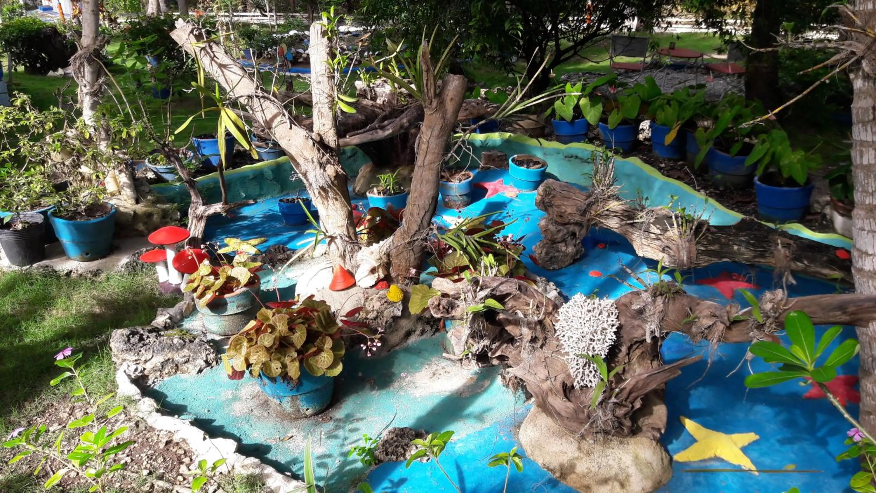 Garden in Casa de la Playa Beach Resort