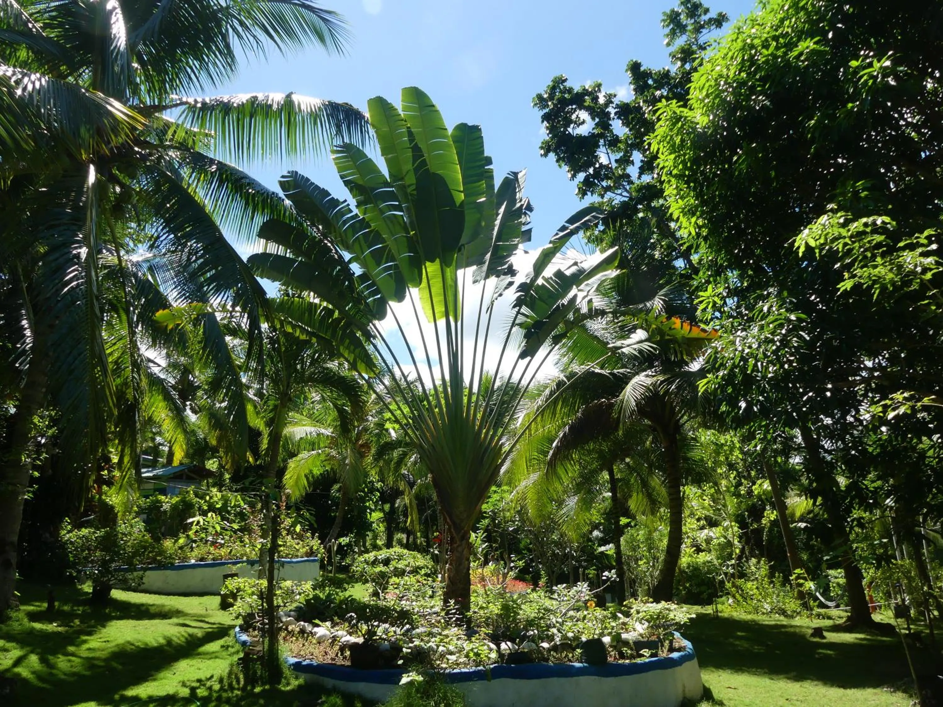 Casa de la Playa Beach Resort