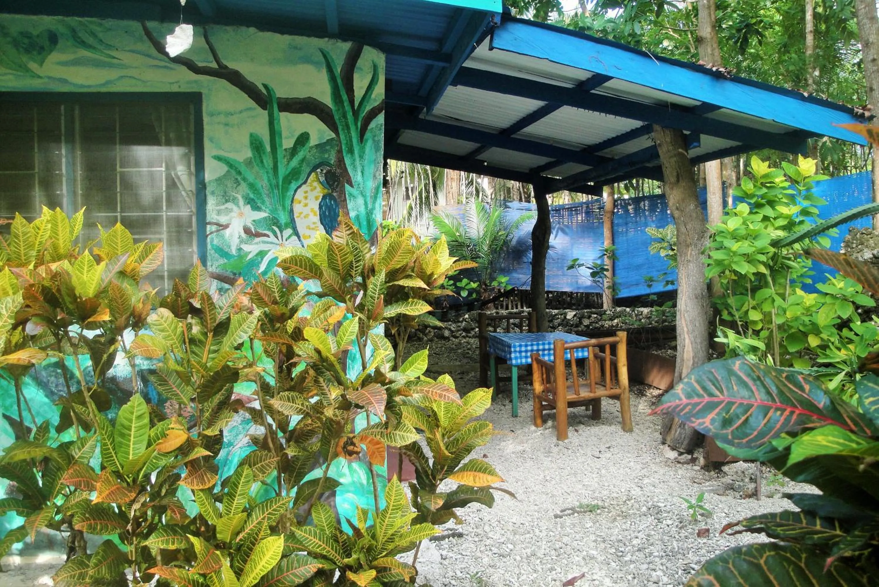 Garden view in Casa de la Playa Beach Resort