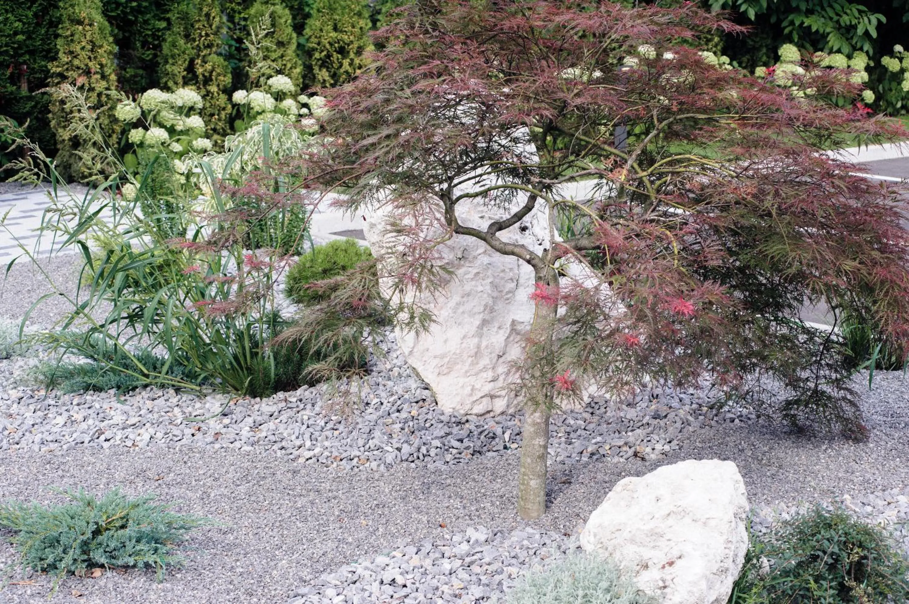 Garden view in Apartments Villa Tatiana