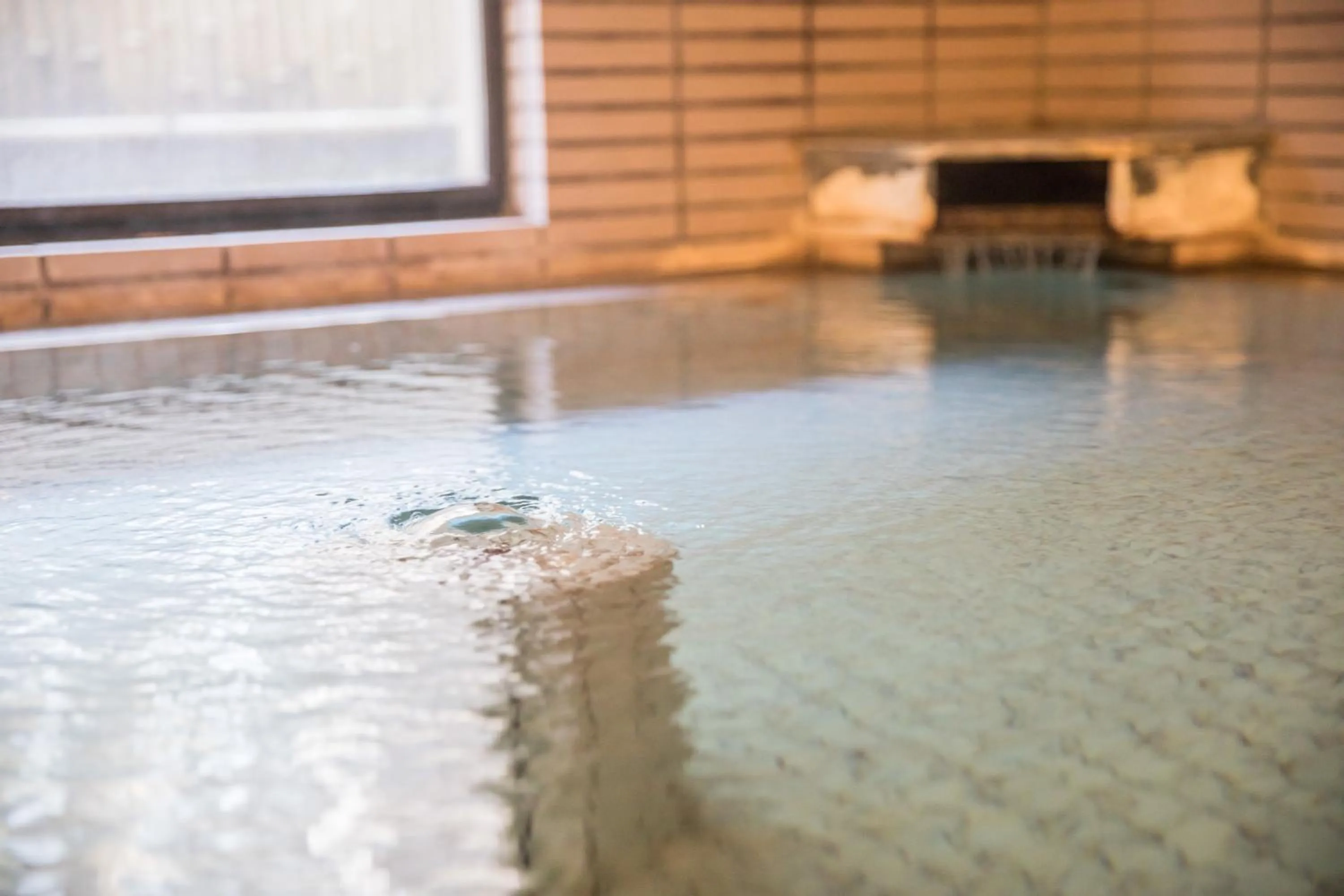 Hot Spring Bath in Hotel Umenoyu
