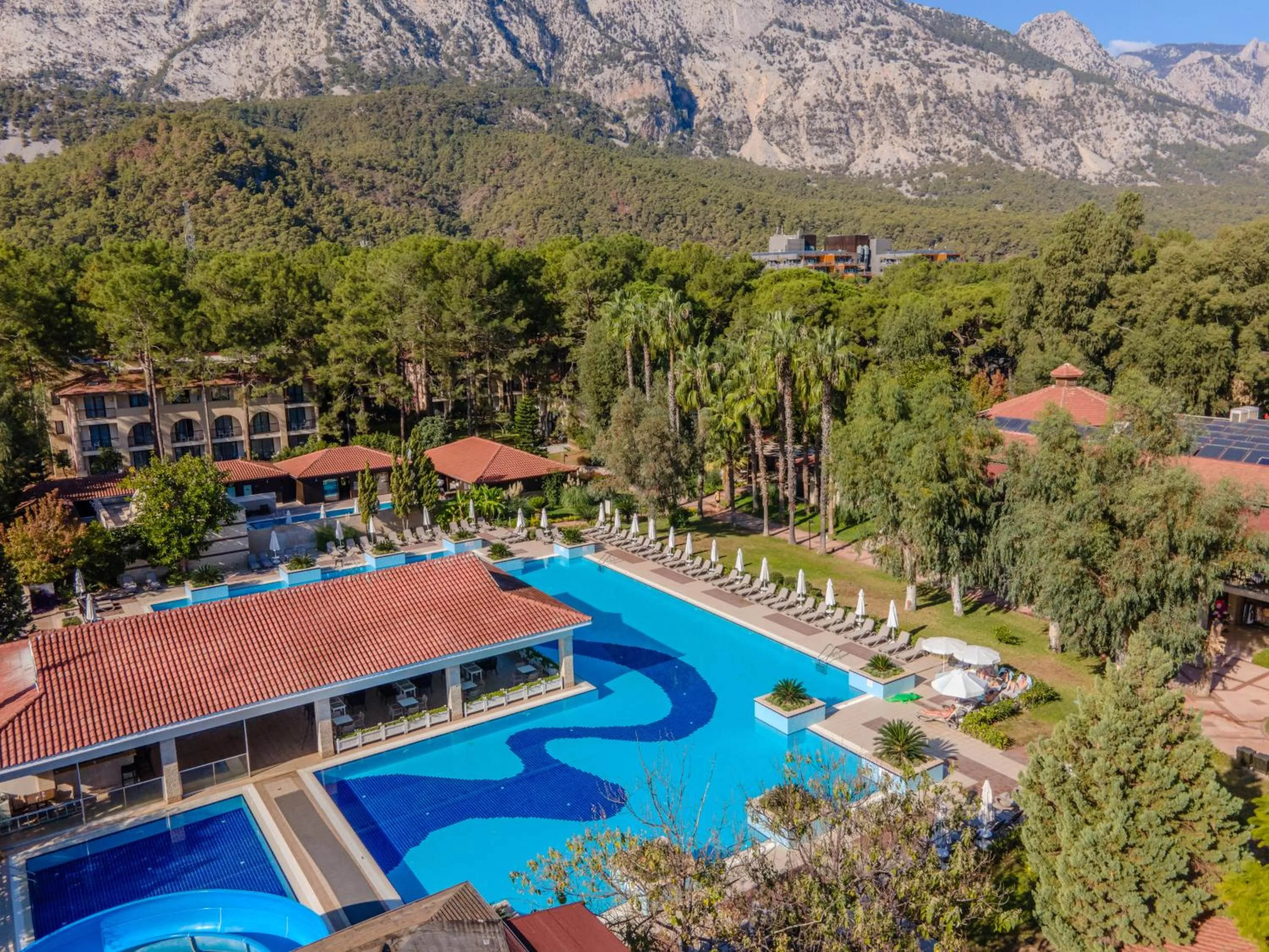 Natural landscape in Champion Holiday Village