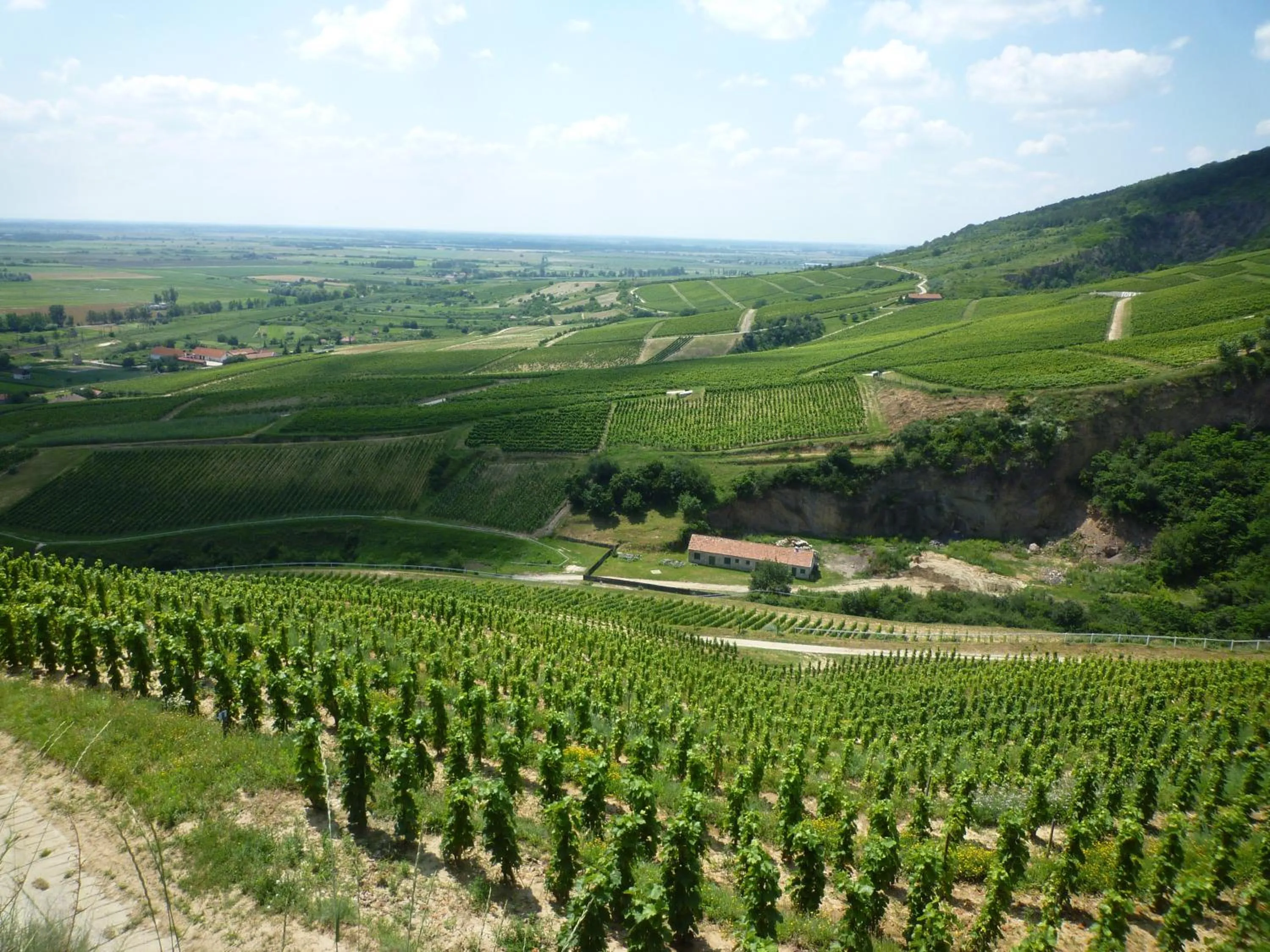 Hiking in Toldi Fogadó