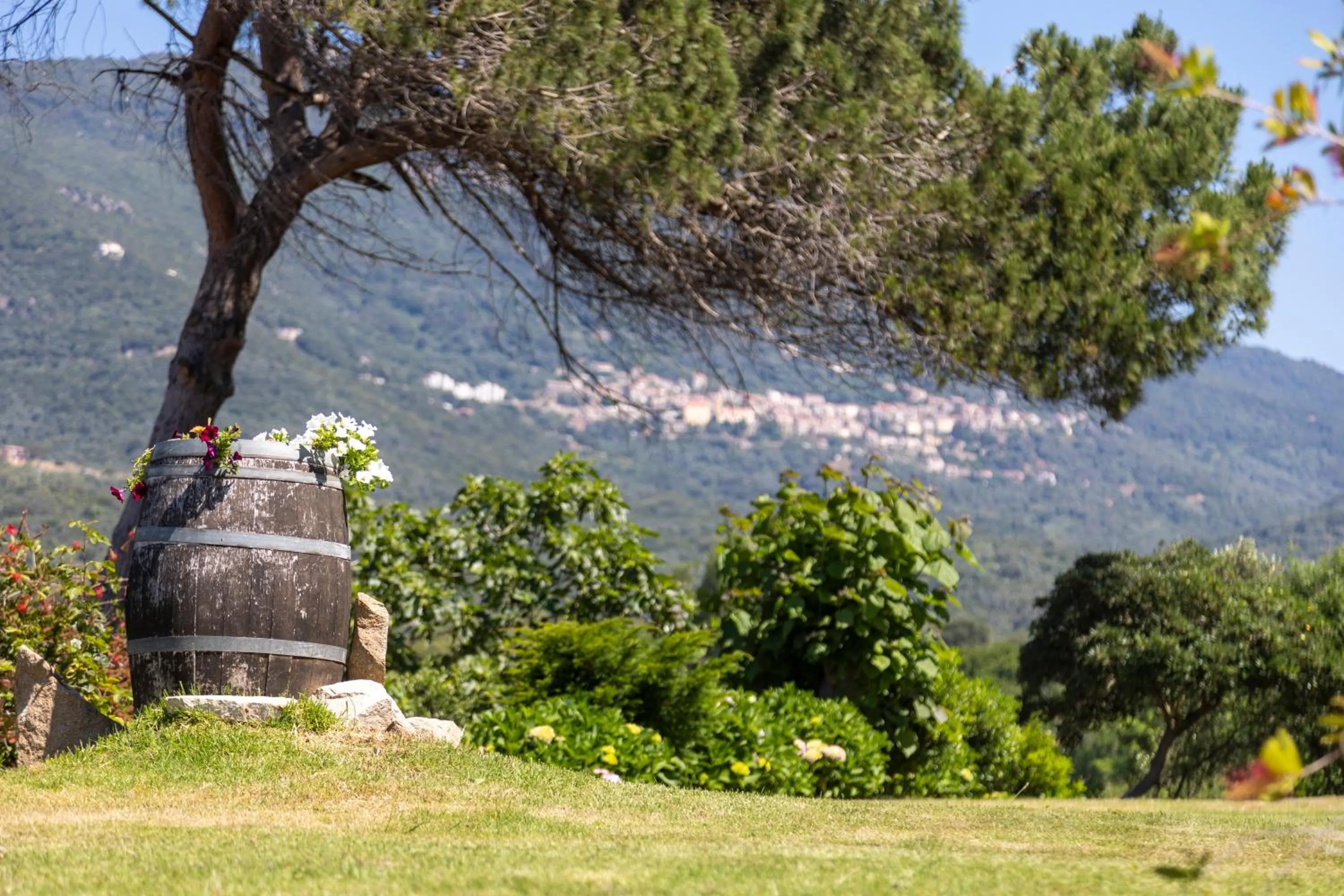 Natural landscape in Hotel Arcu Di Sole