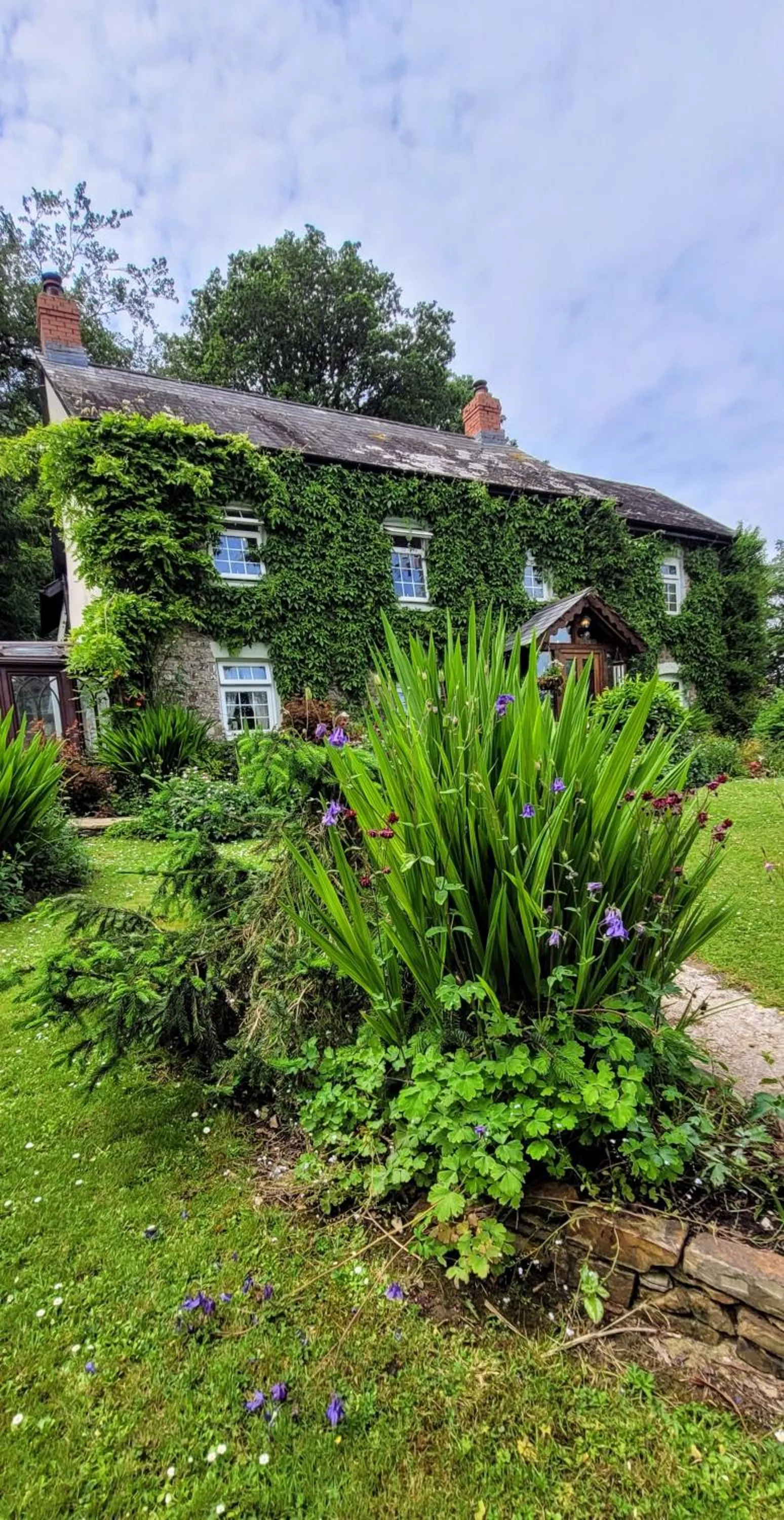 Garden in Kingsley Cottage