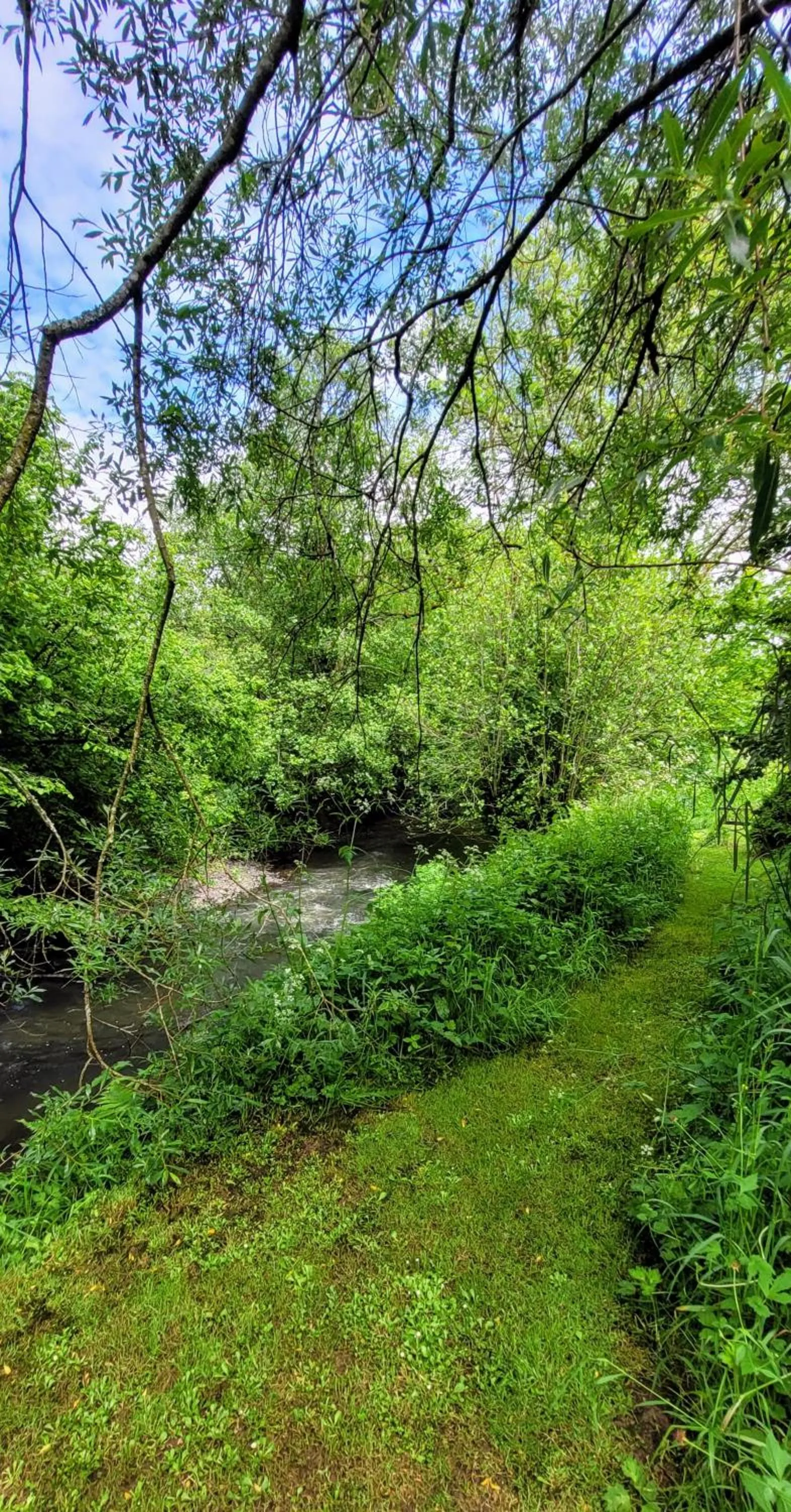 Natural landscape in Kingsley Cottage