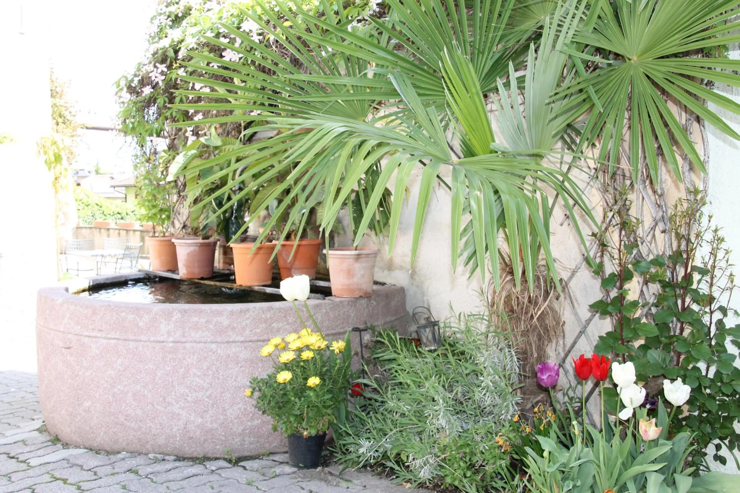 Garden in Garni Brunnenhof