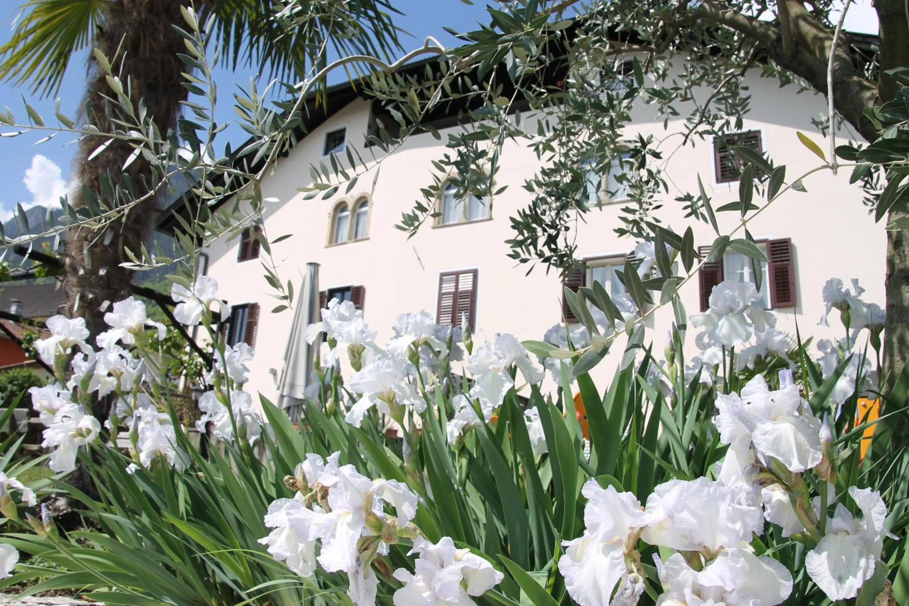Bird's eye view in Garni Brunnenhof