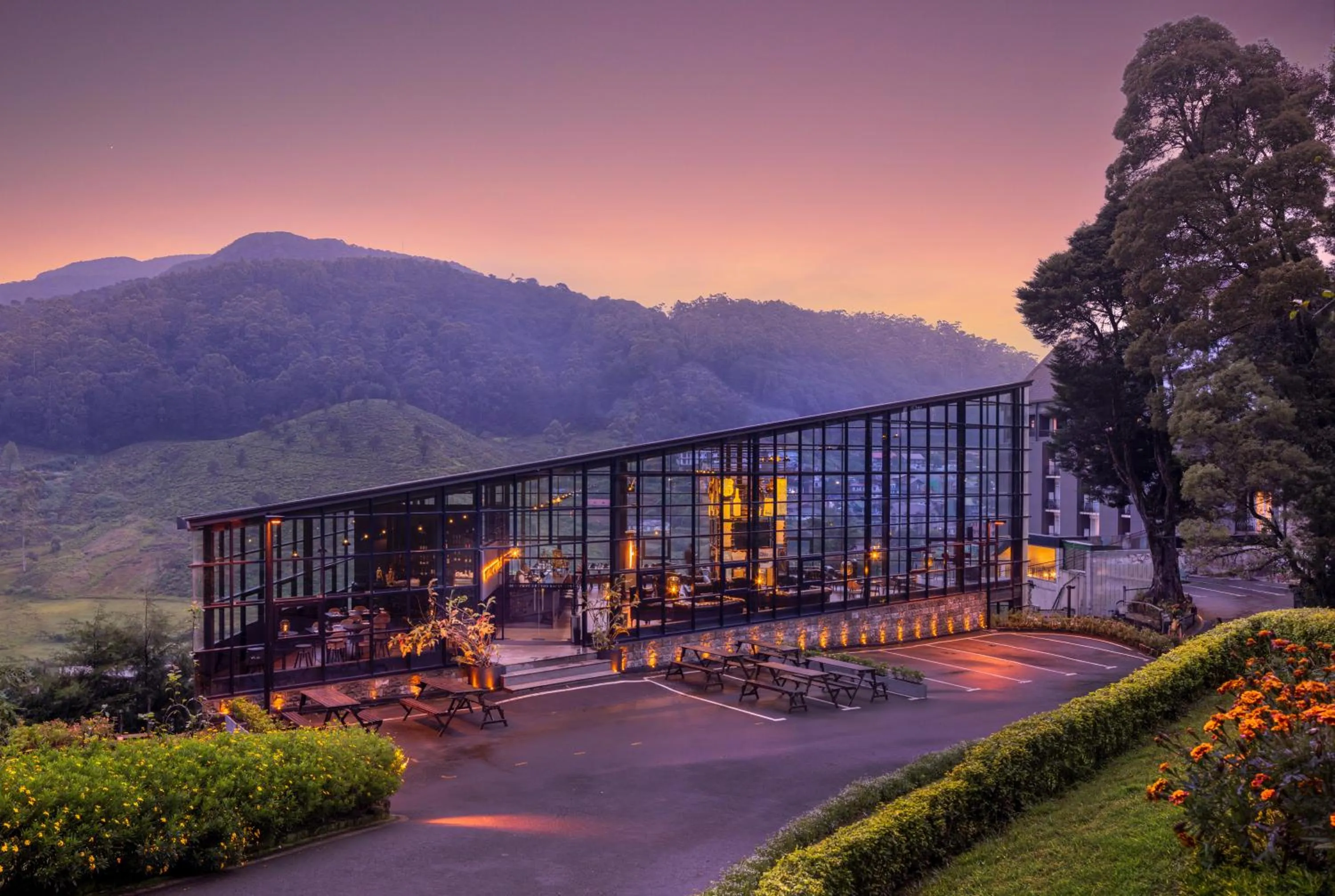 Restaurant/places to eat in The Golden Ridge Hotel