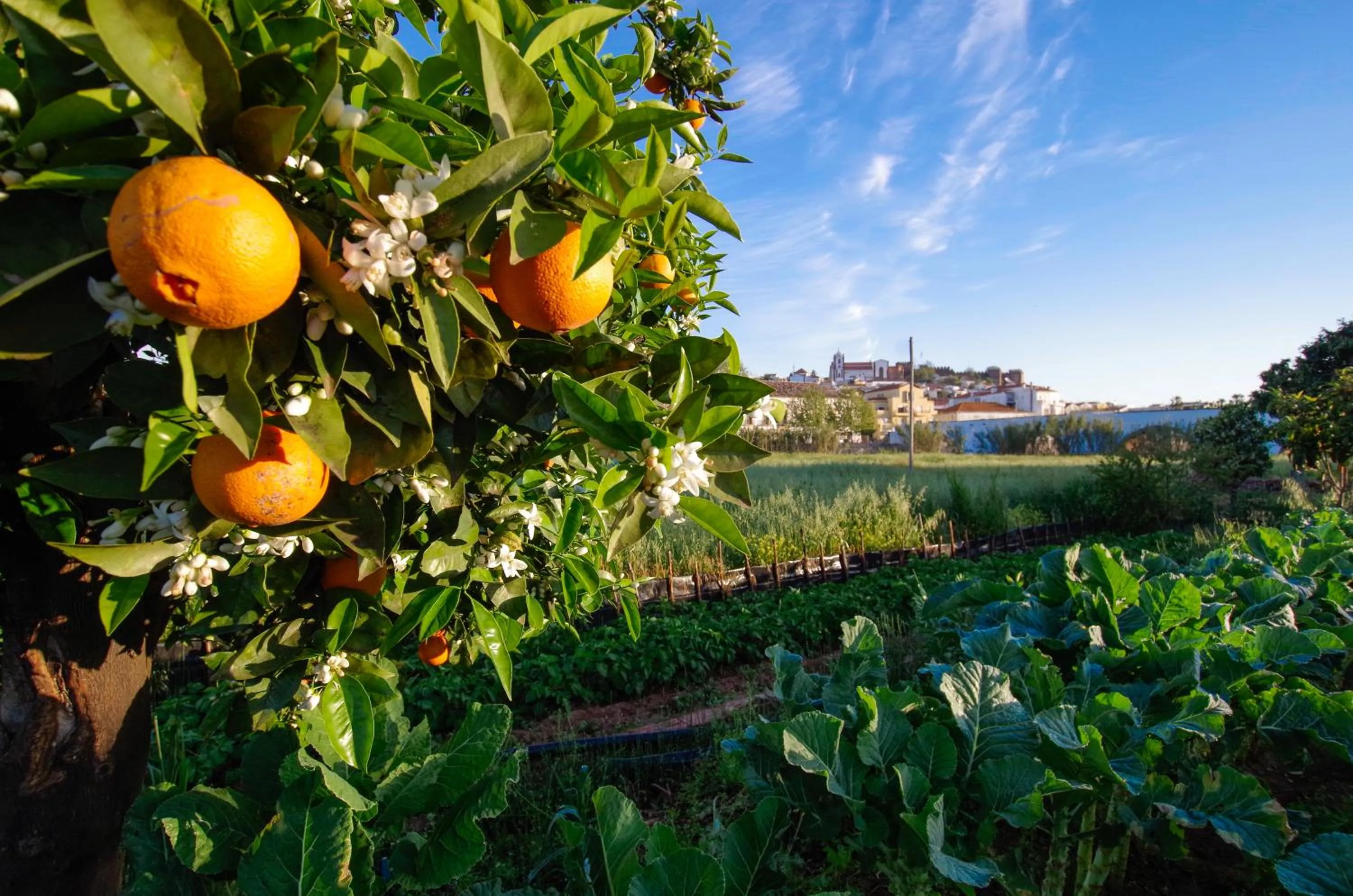 Nearby landmark in Casa Margarida Azul