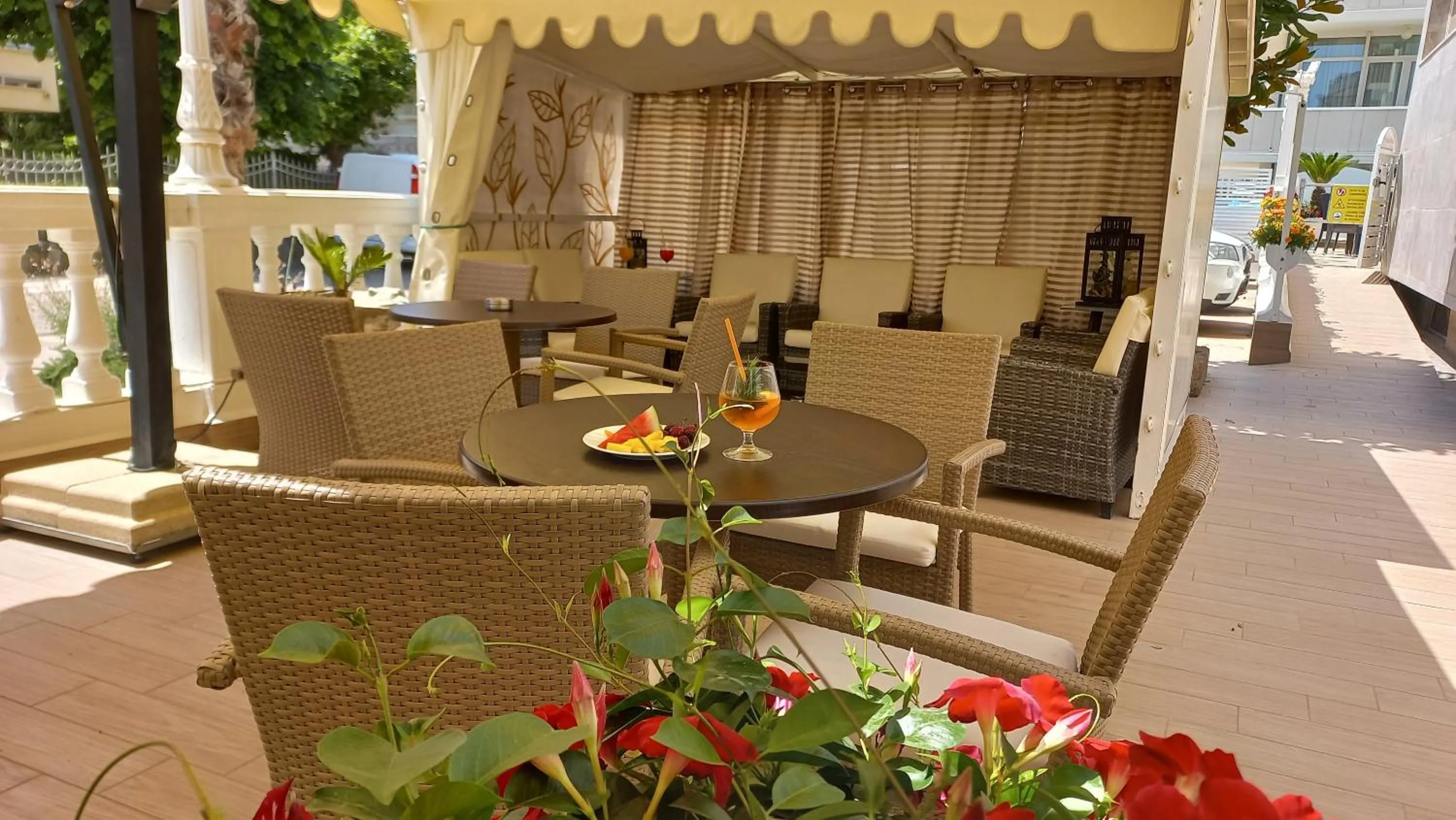 Garden in Hotel Caesar Paladium