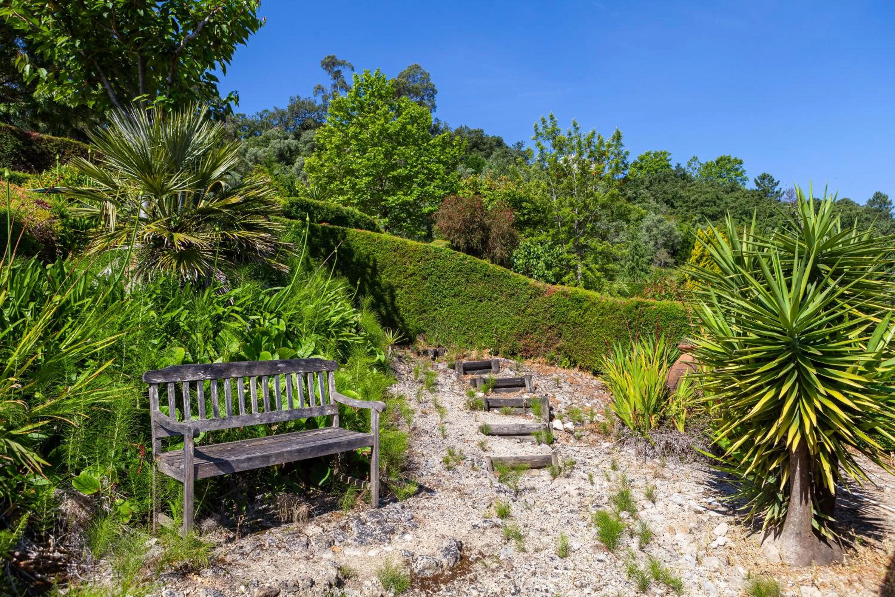 Garden in Hotel D. Luis