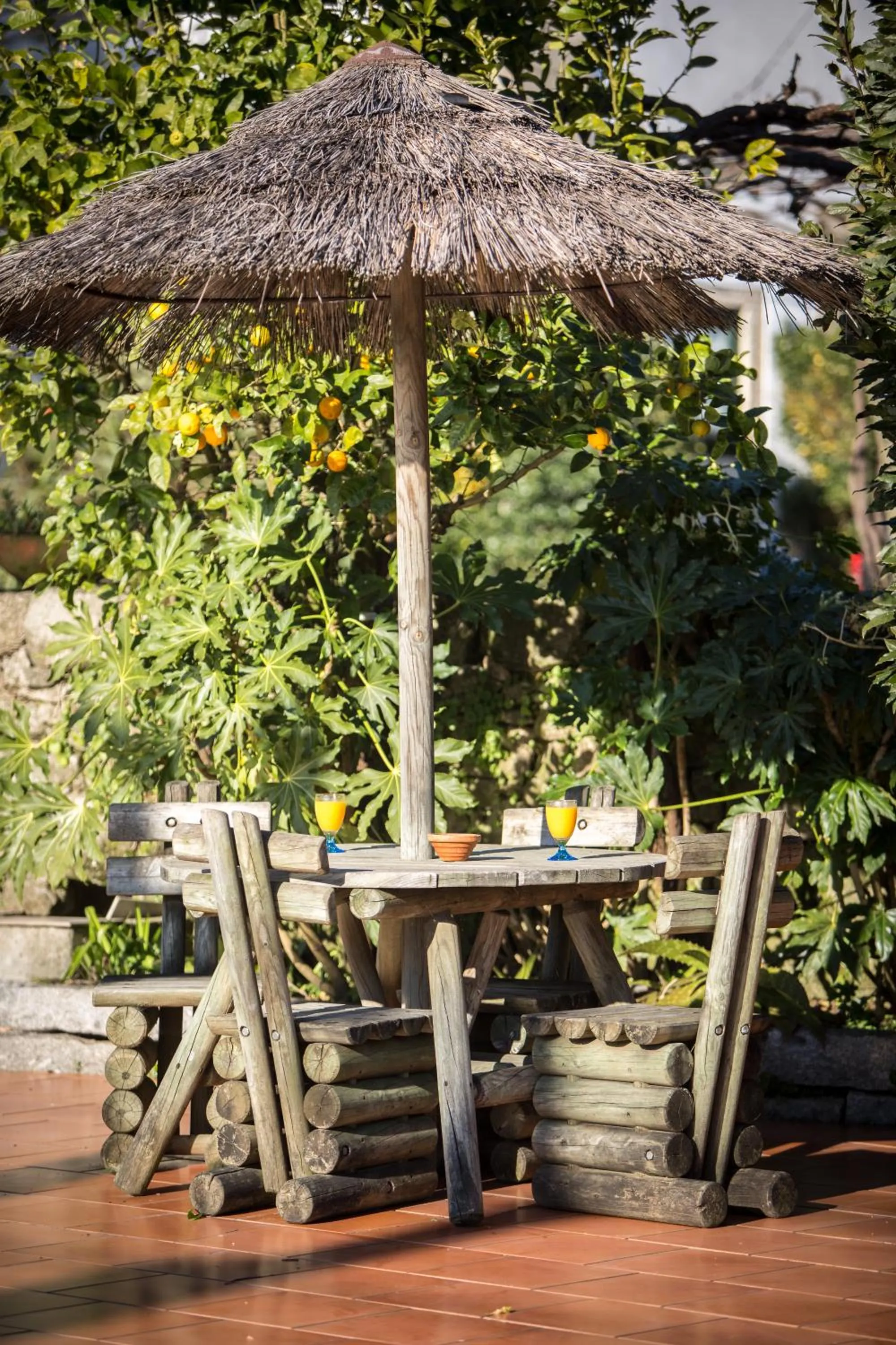 Garden in Quinta Sao Miguel de Arcos