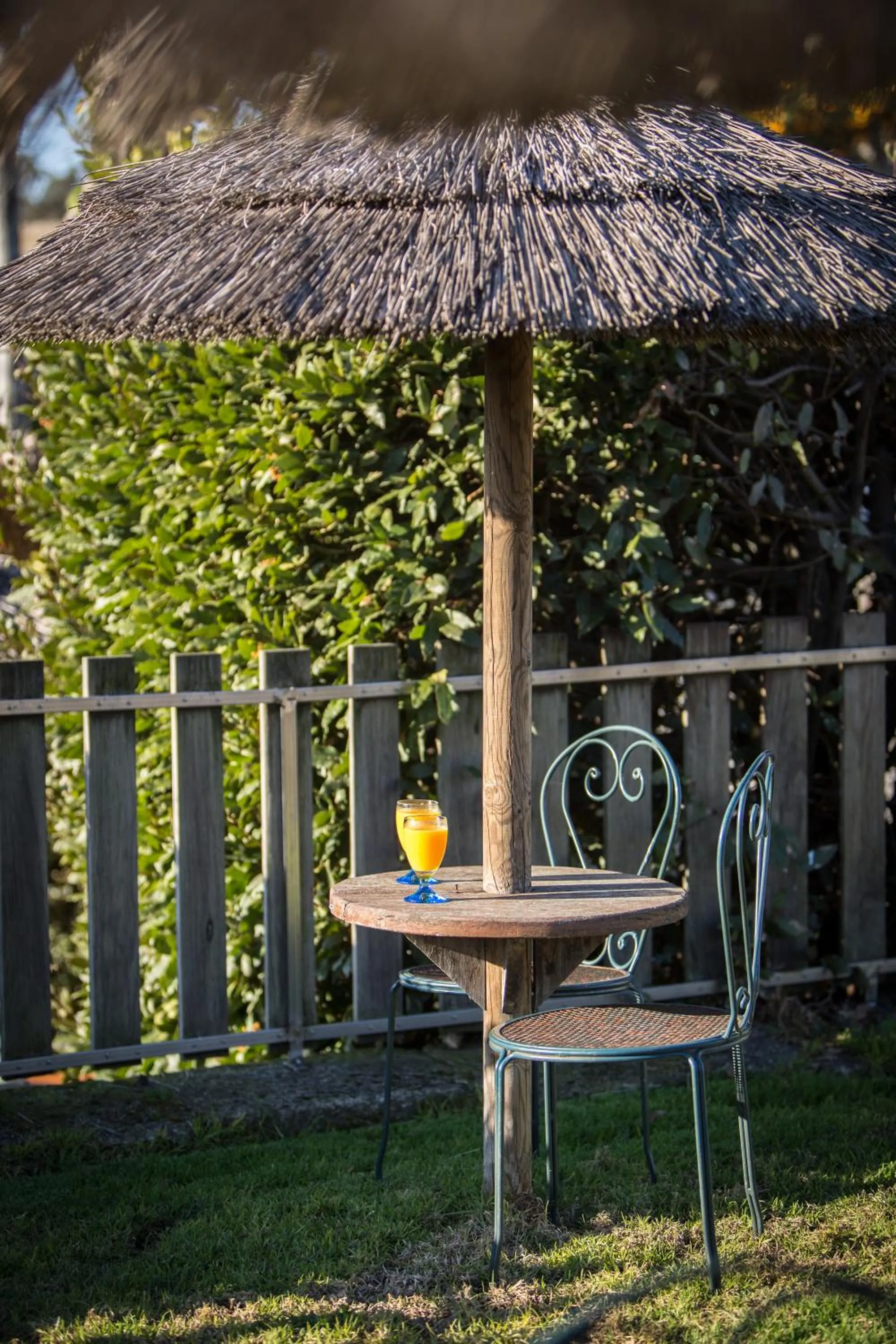 Garden in Quinta Sao Miguel de Arcos