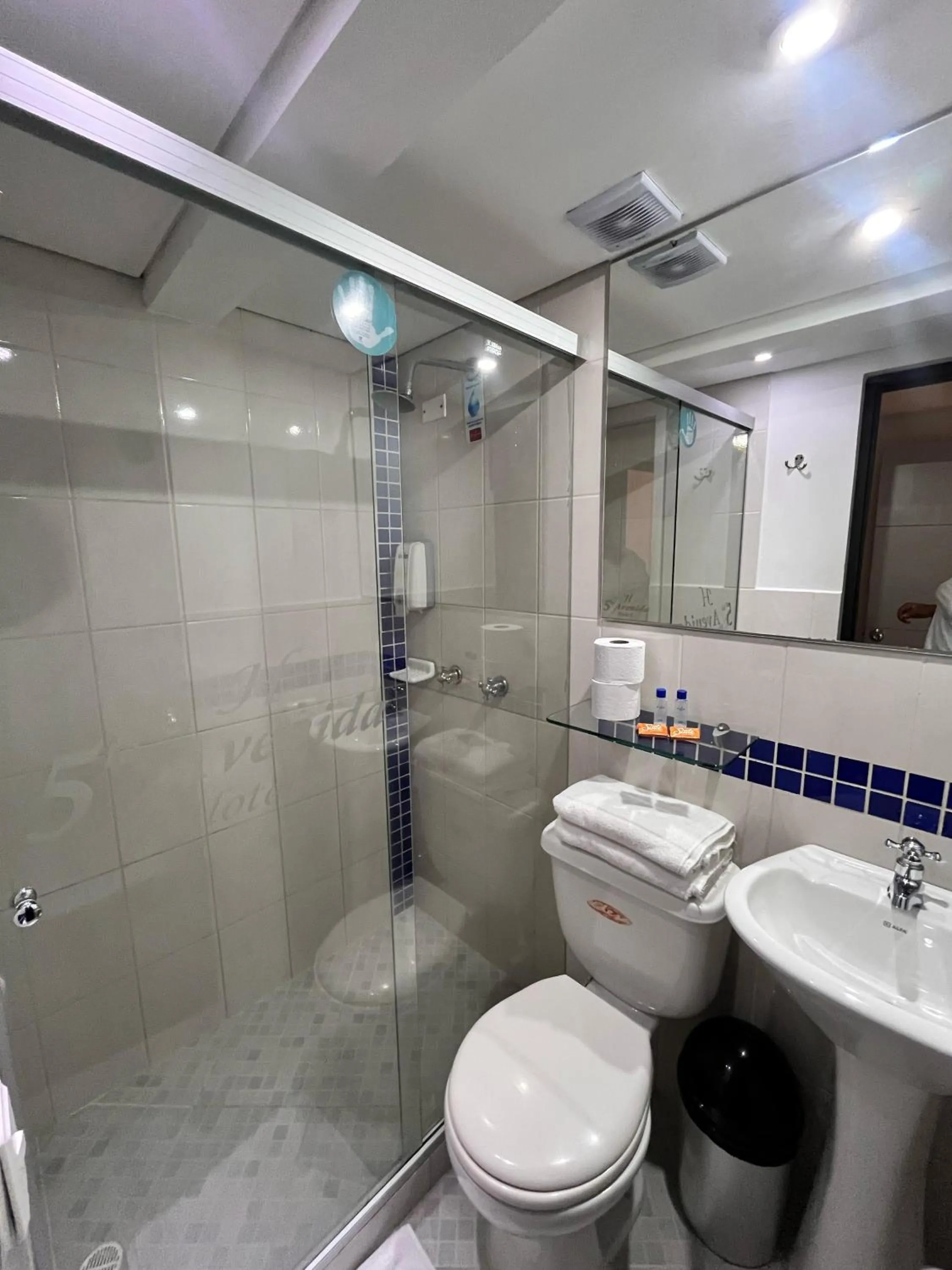 Bathroom in Hotel Quinta Avenida