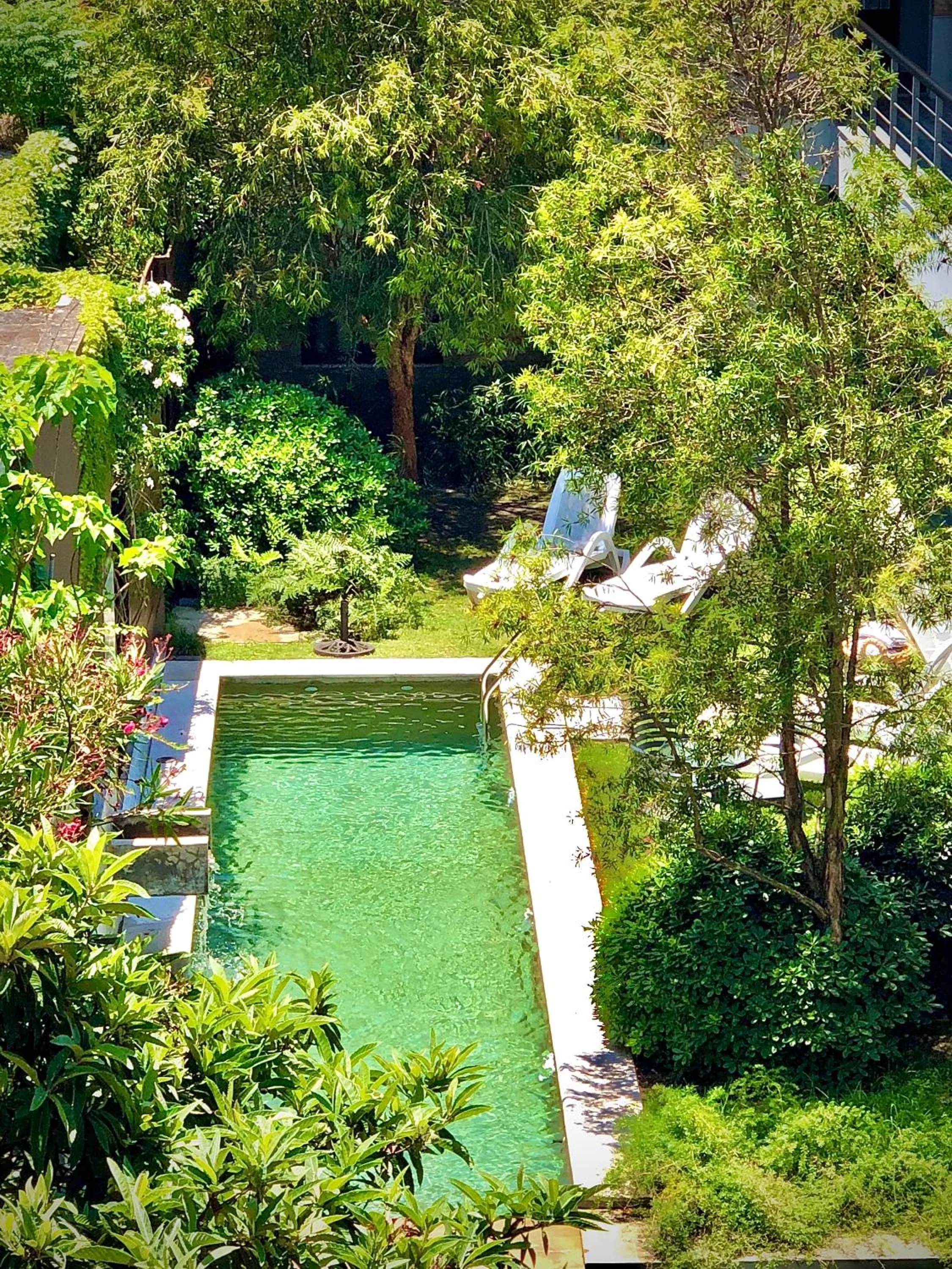 Garden view in Posada Boutique Las Terrazas