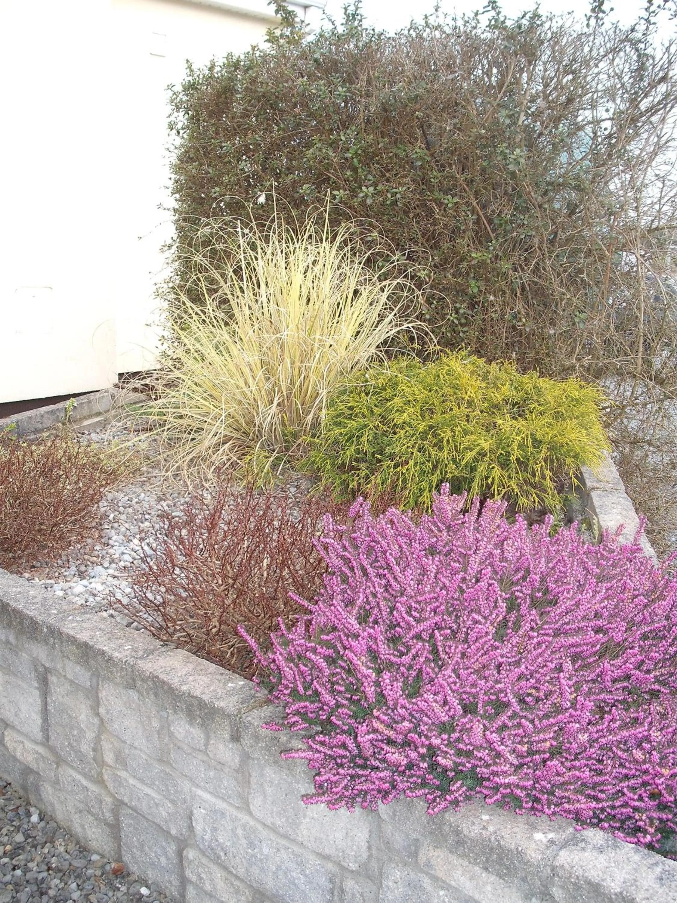 Garden view in Maryville Bed and Breakfast