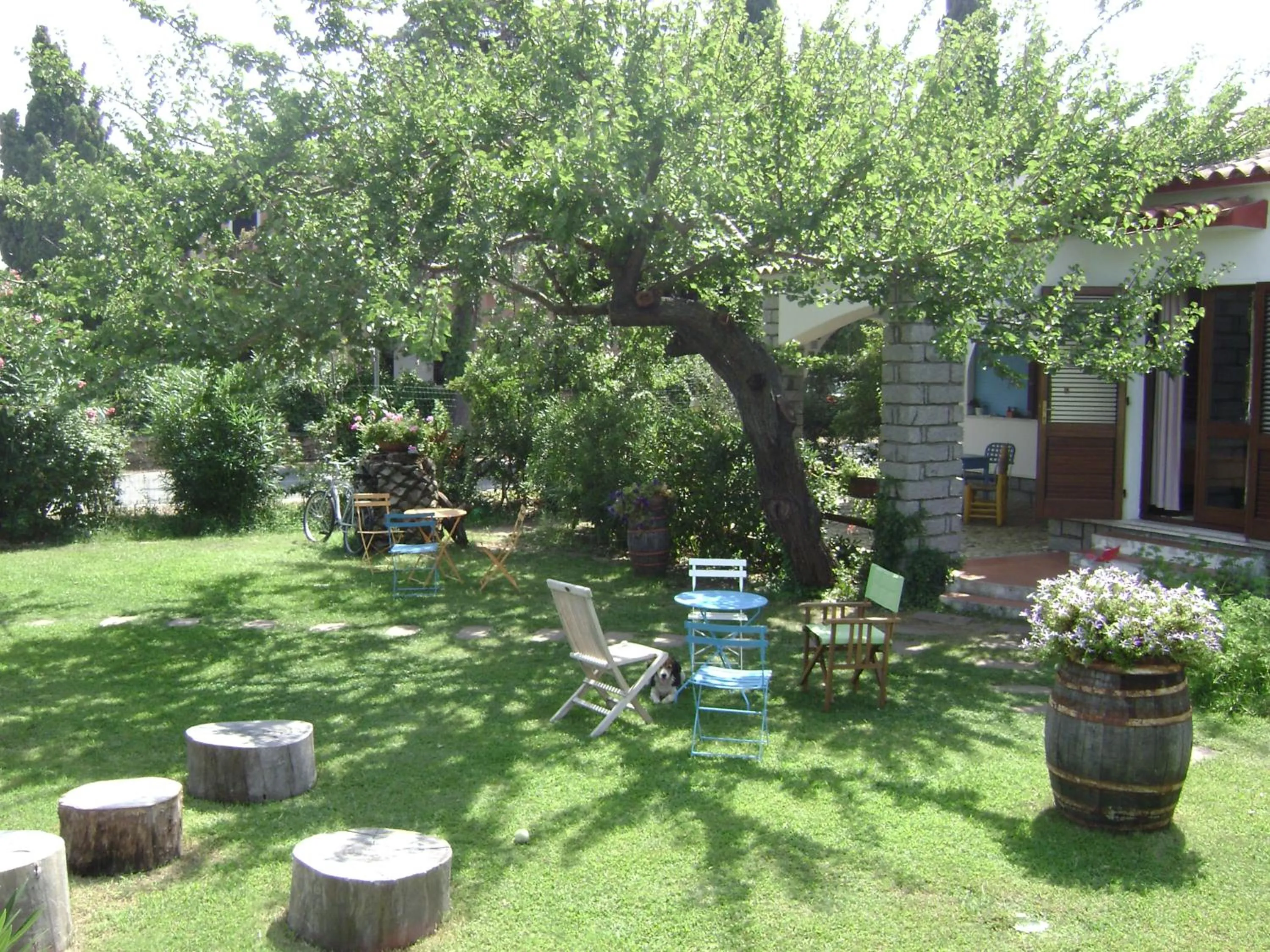 Day in Hotel Sandalyon