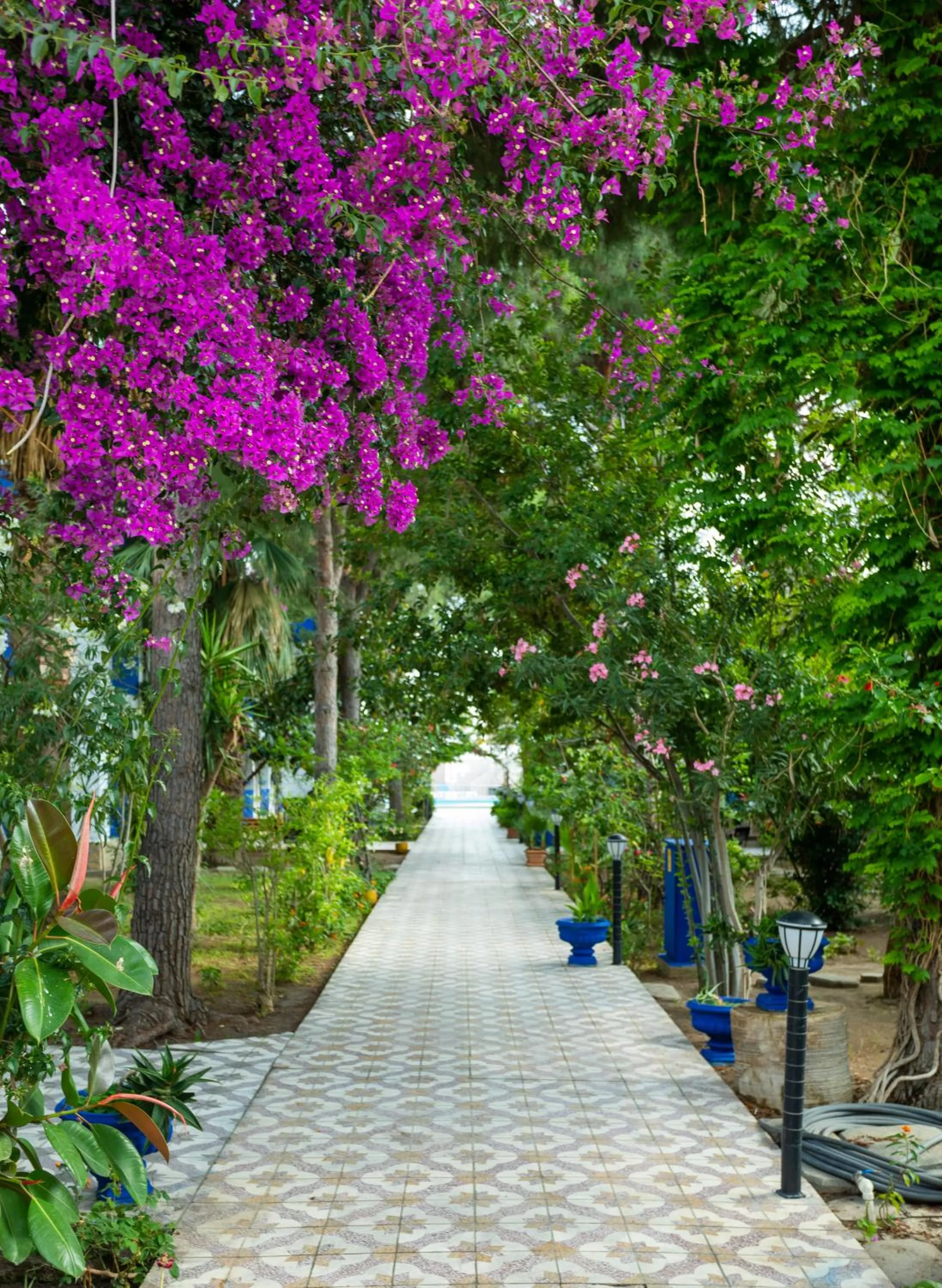 Garden in Gumbet Anil Beach