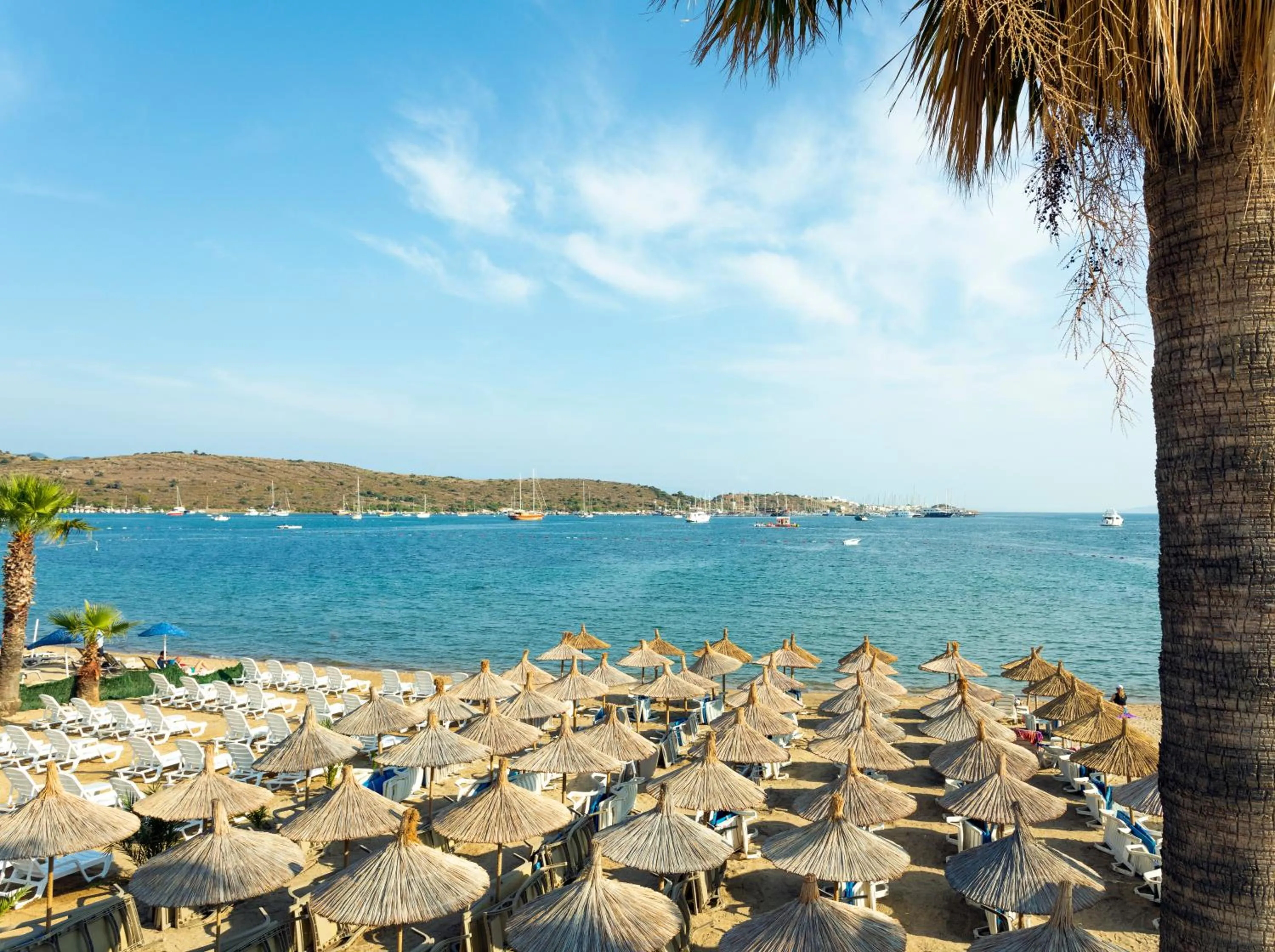 Beach in Gumbet Anil Beach