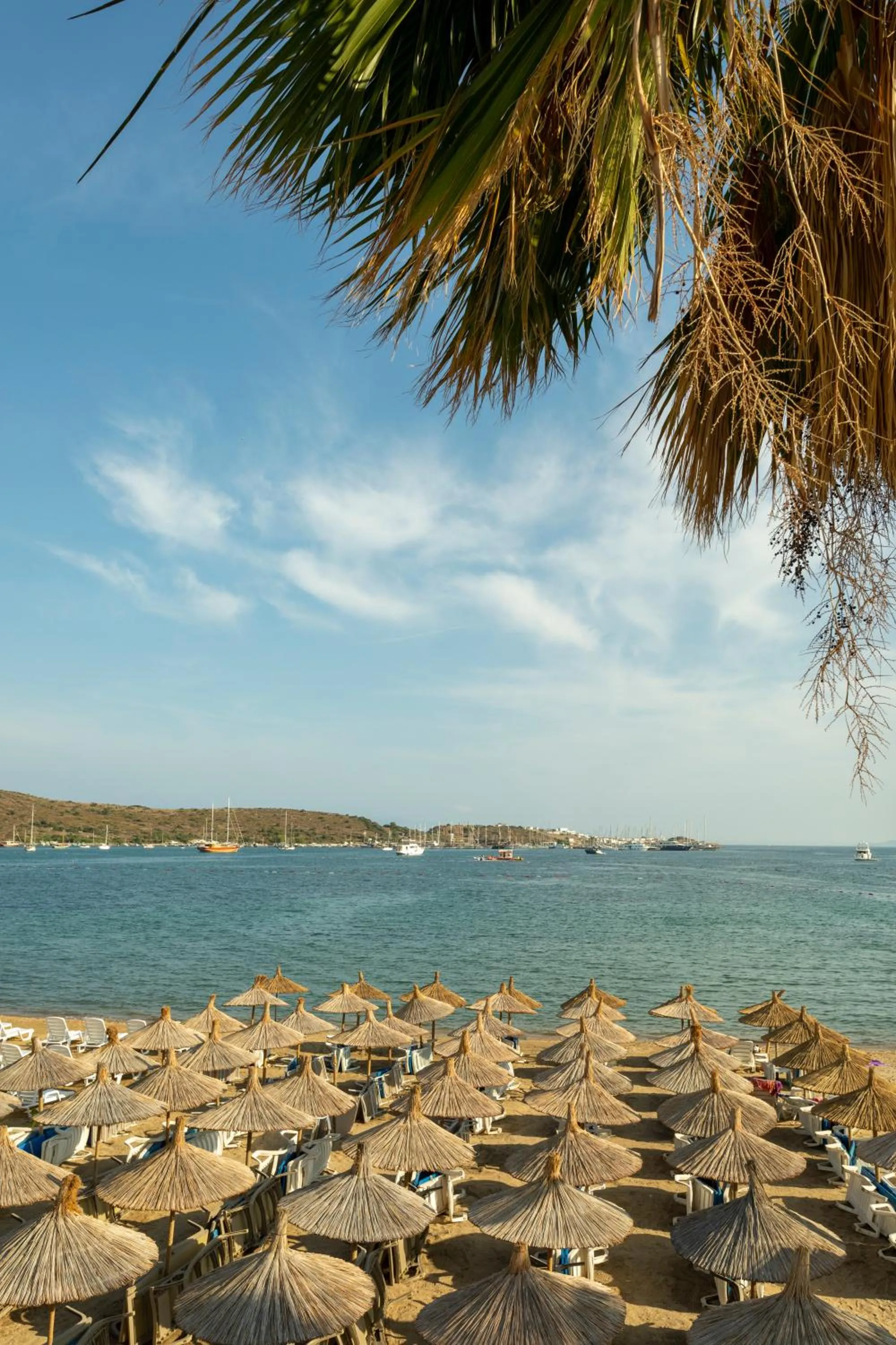 Beach in Gumbet Anil Beach