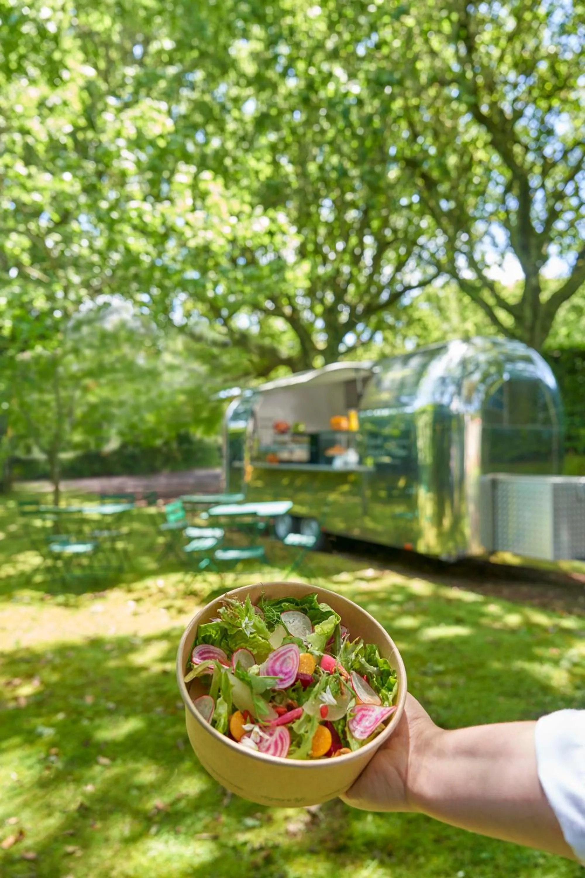 Garden in Terra Nostra Garden Hotel