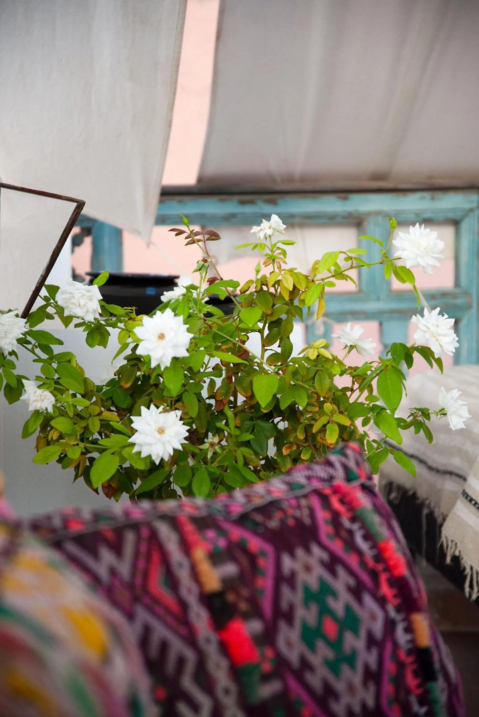 Decorative detail, Bed in Riad Le J