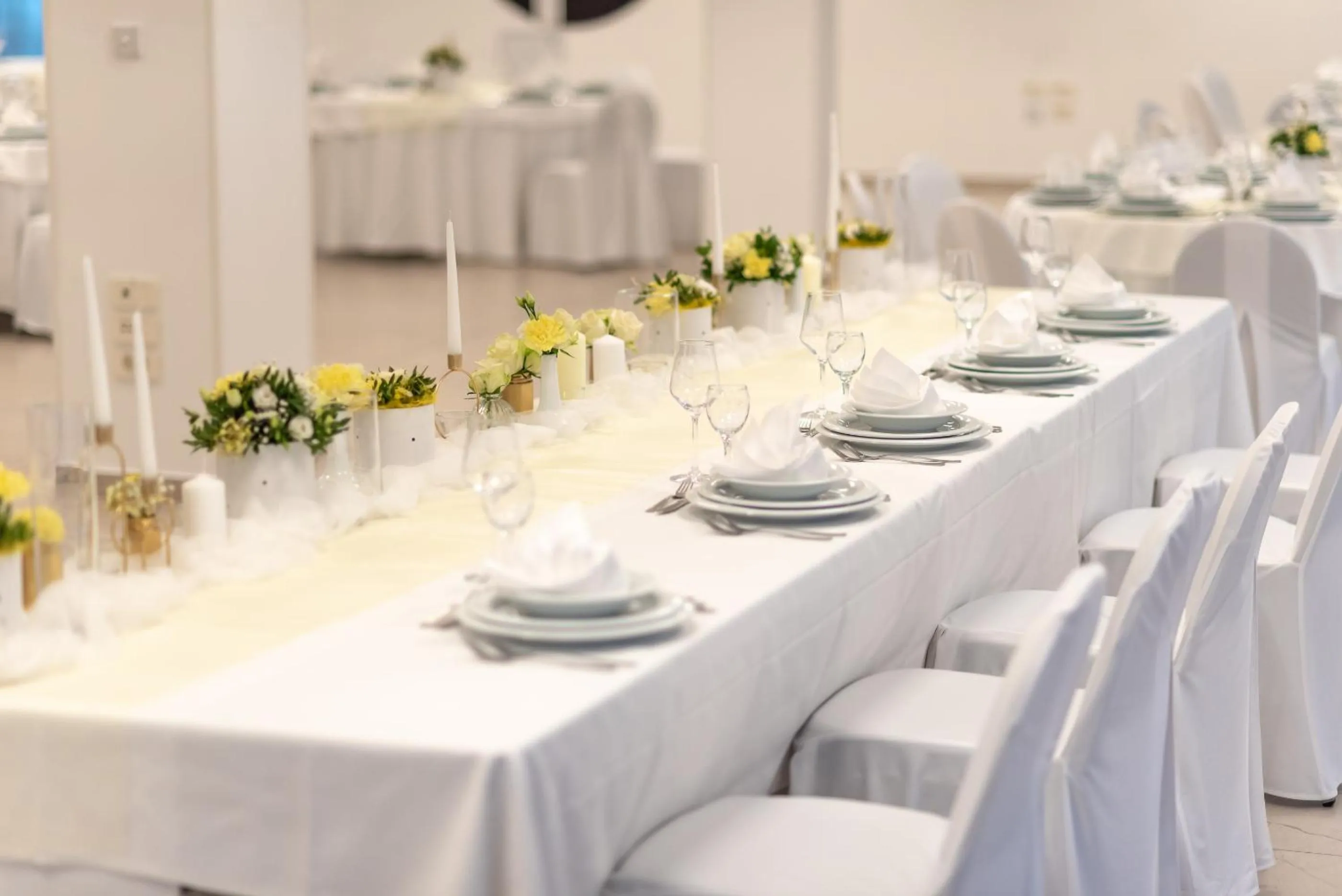 wedding in Hotel Park Superior 3*