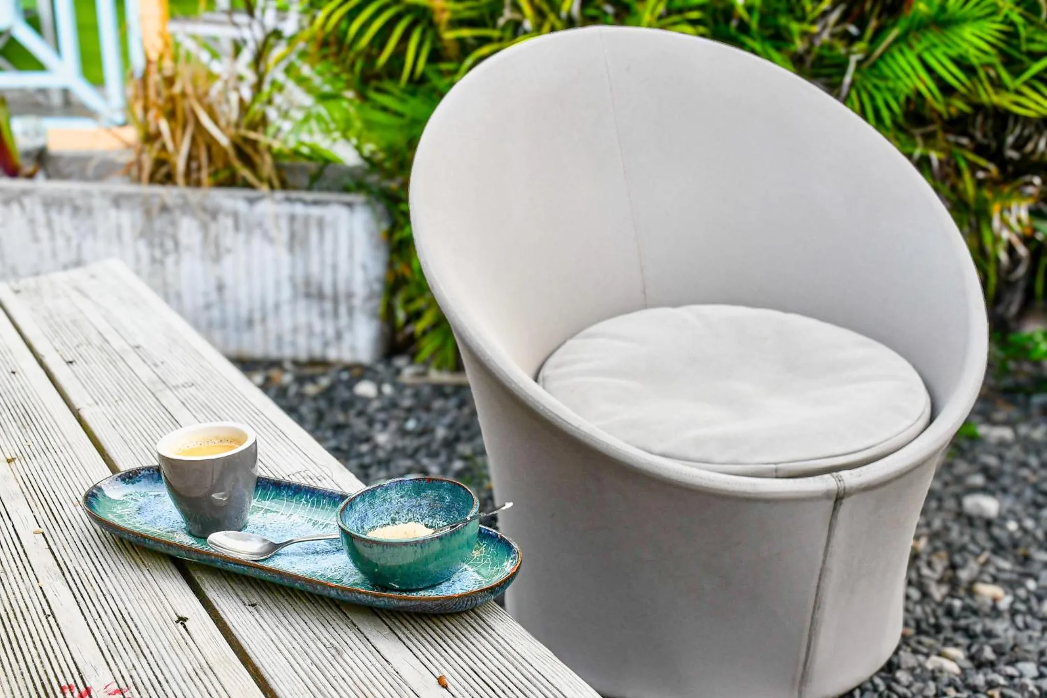 Garden in Hotel Oasis