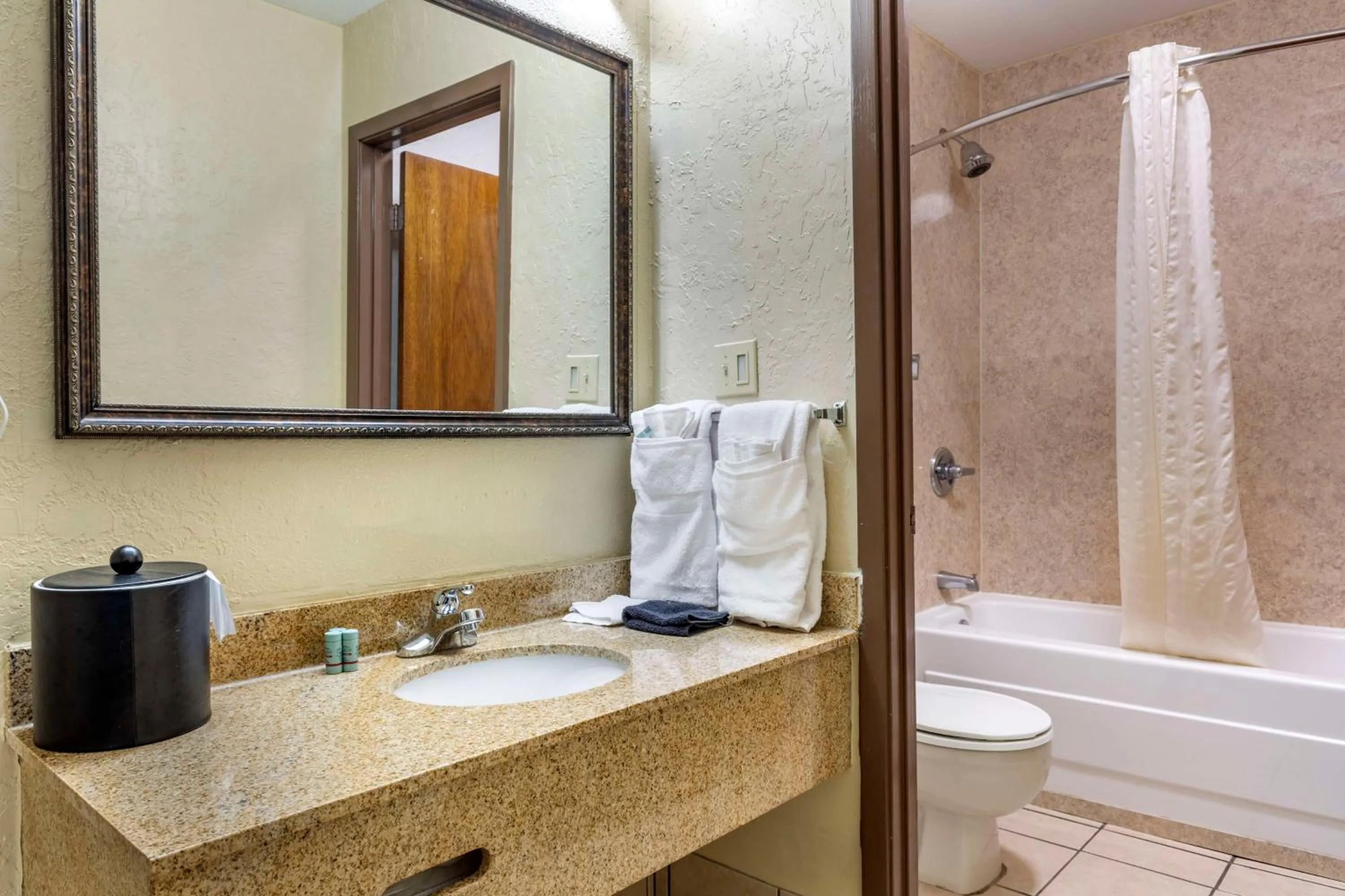 Bathroom in Best Western of Hope