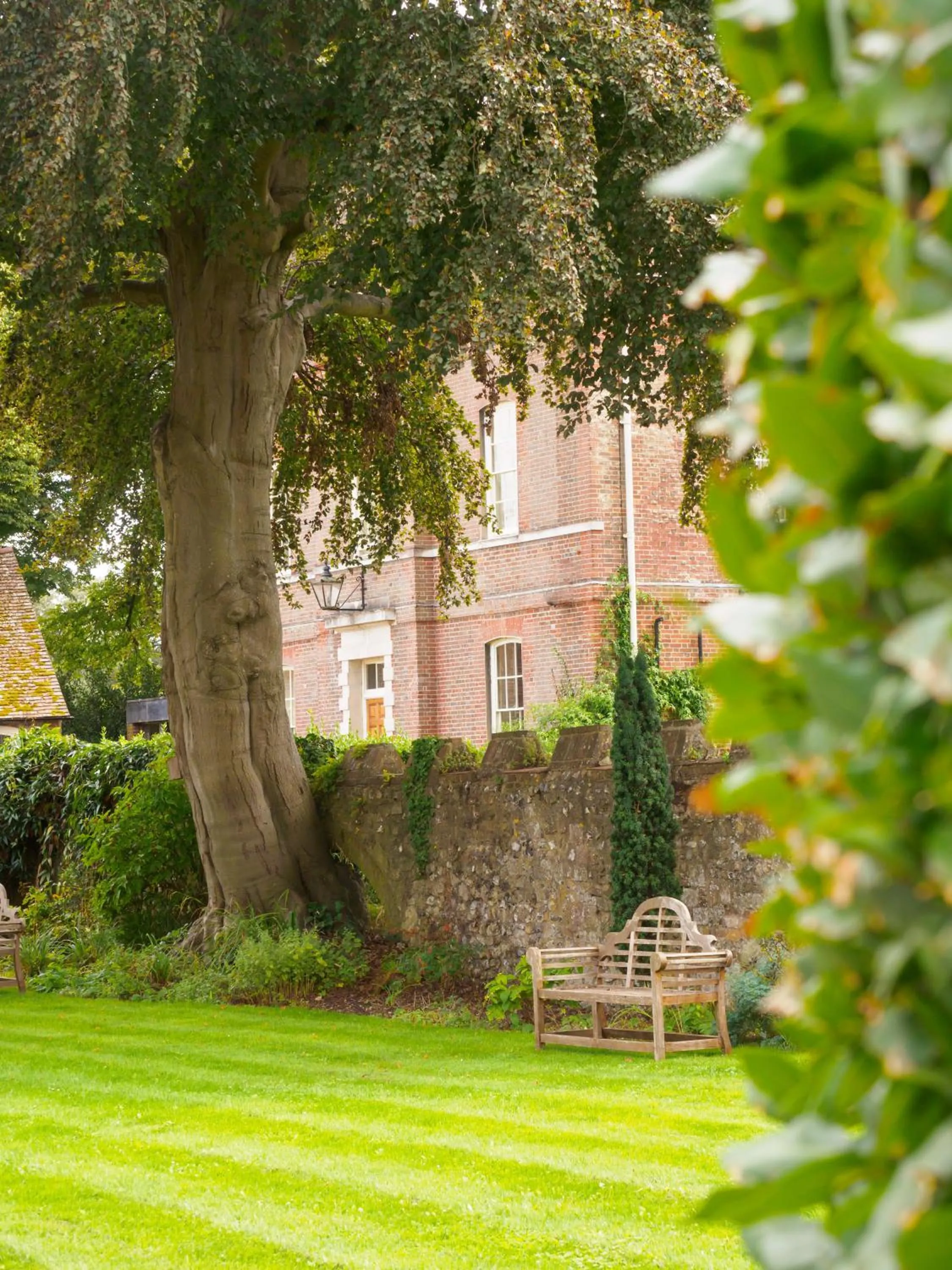 Garden in 4 Canon Lane