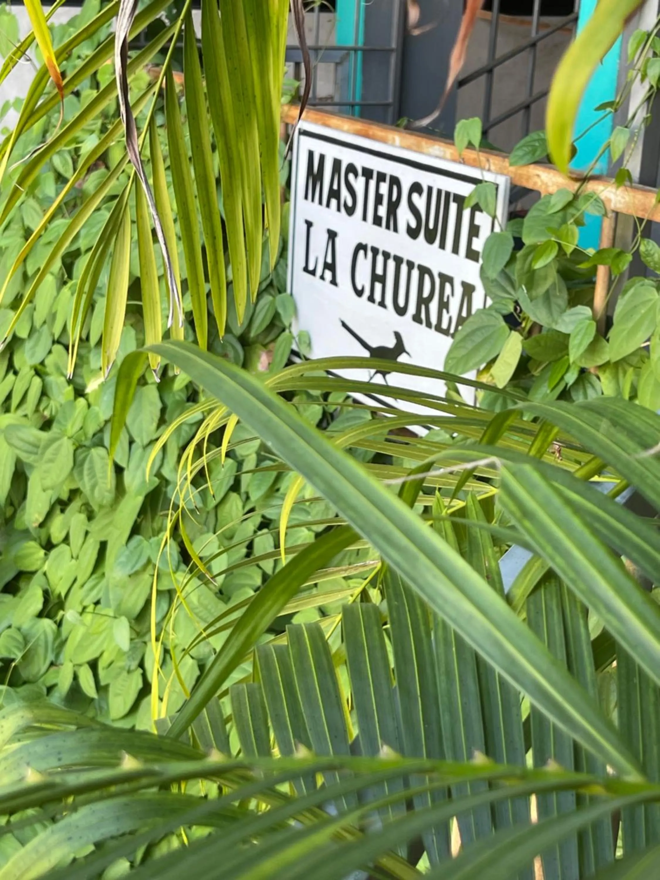 Text overlay in Casa Conicarit