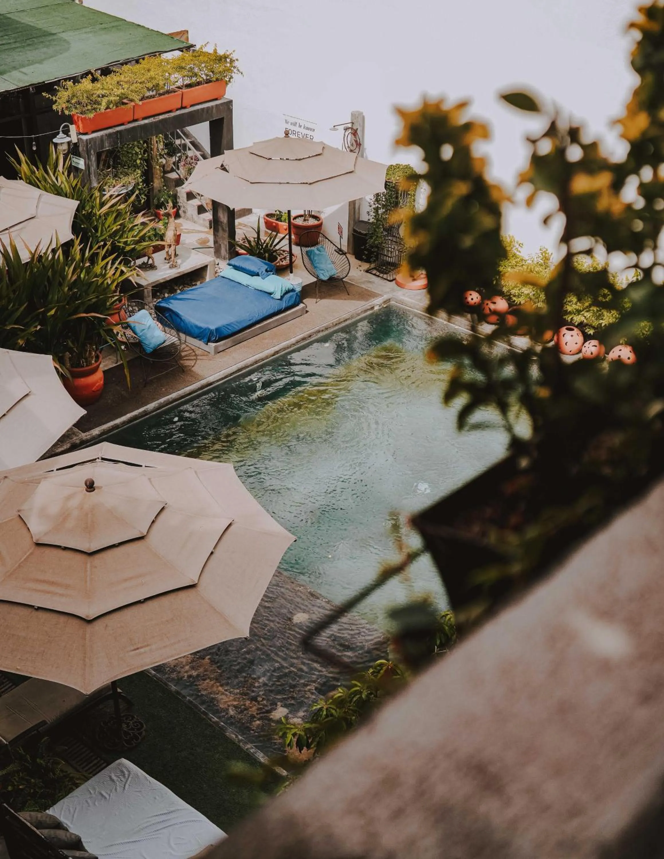 Swimming pool in Casa Conicarit