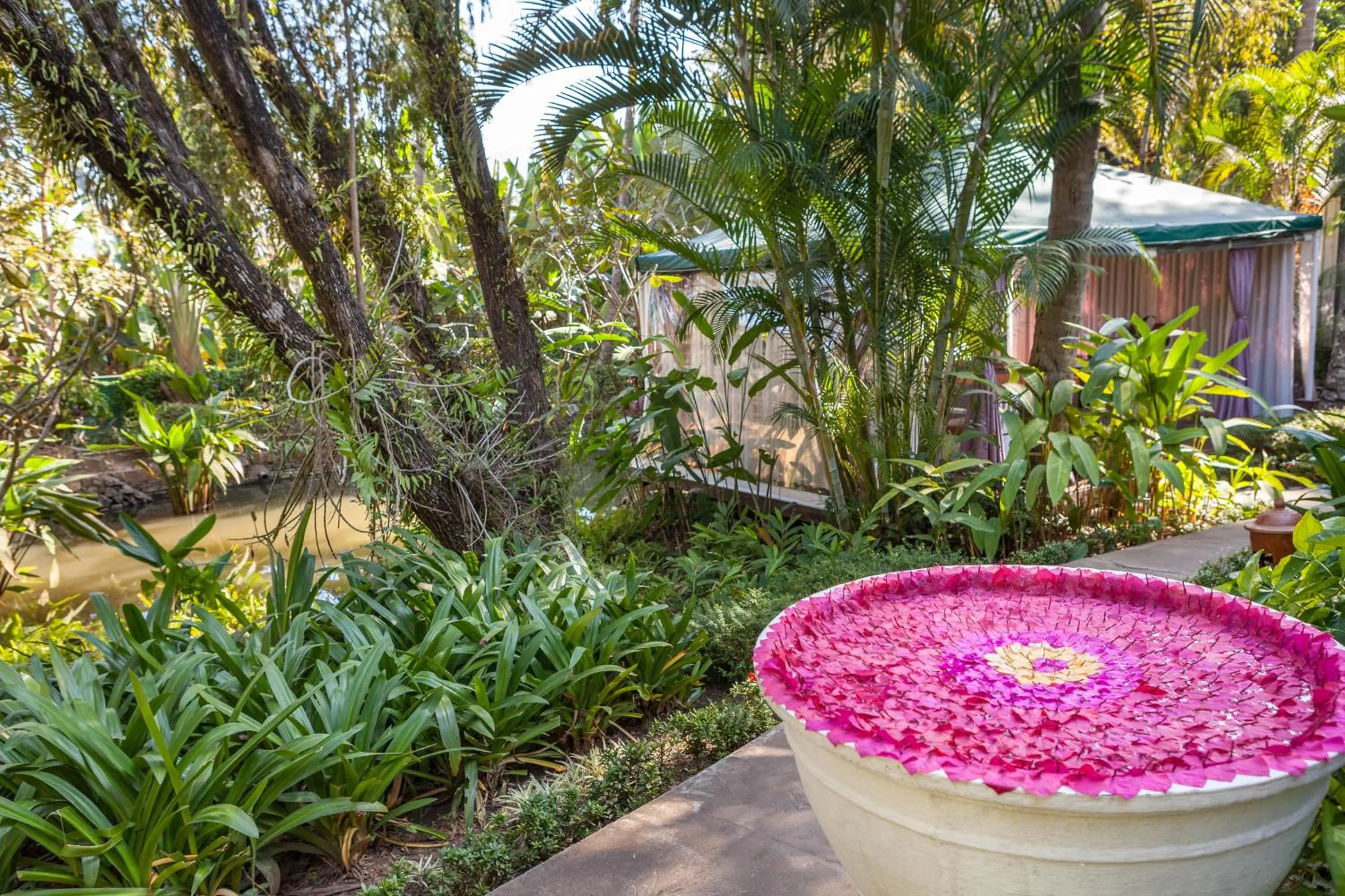 Natural landscape in Homm Souvannaphoum Luang Prabang, part of Banyan Group
