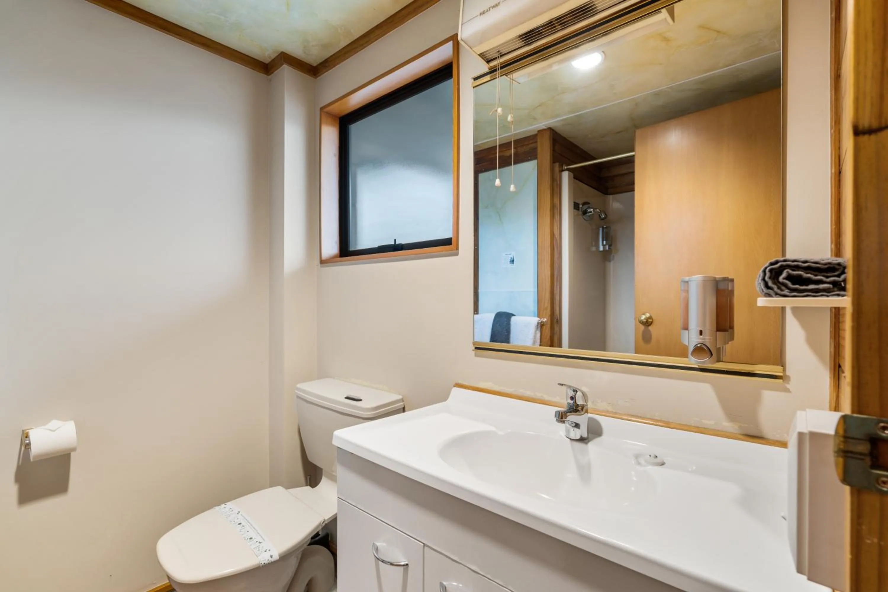 Toilet in Aspiring Lodge Motel