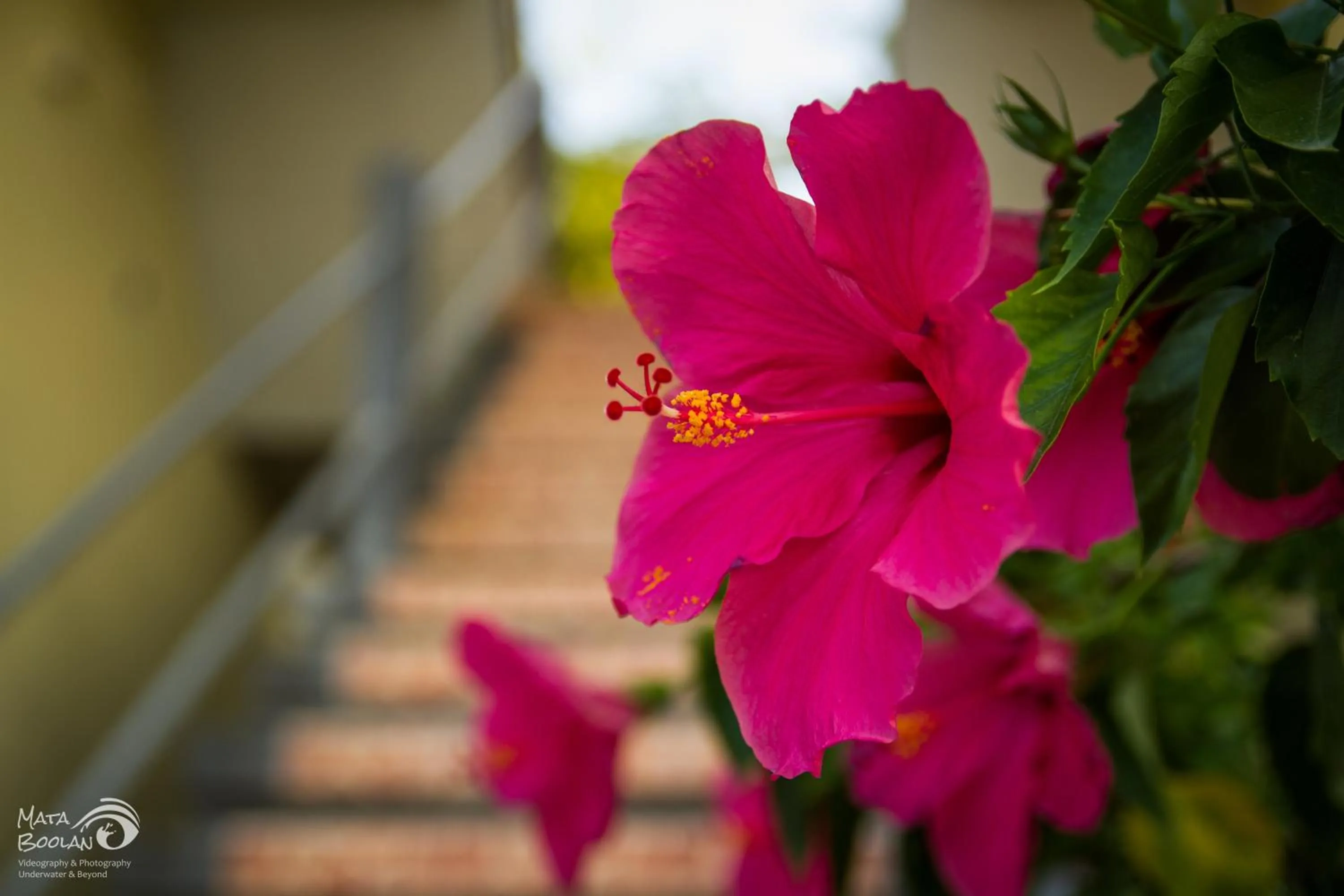 Spring in Beten Waru Bungalow and Restaurant