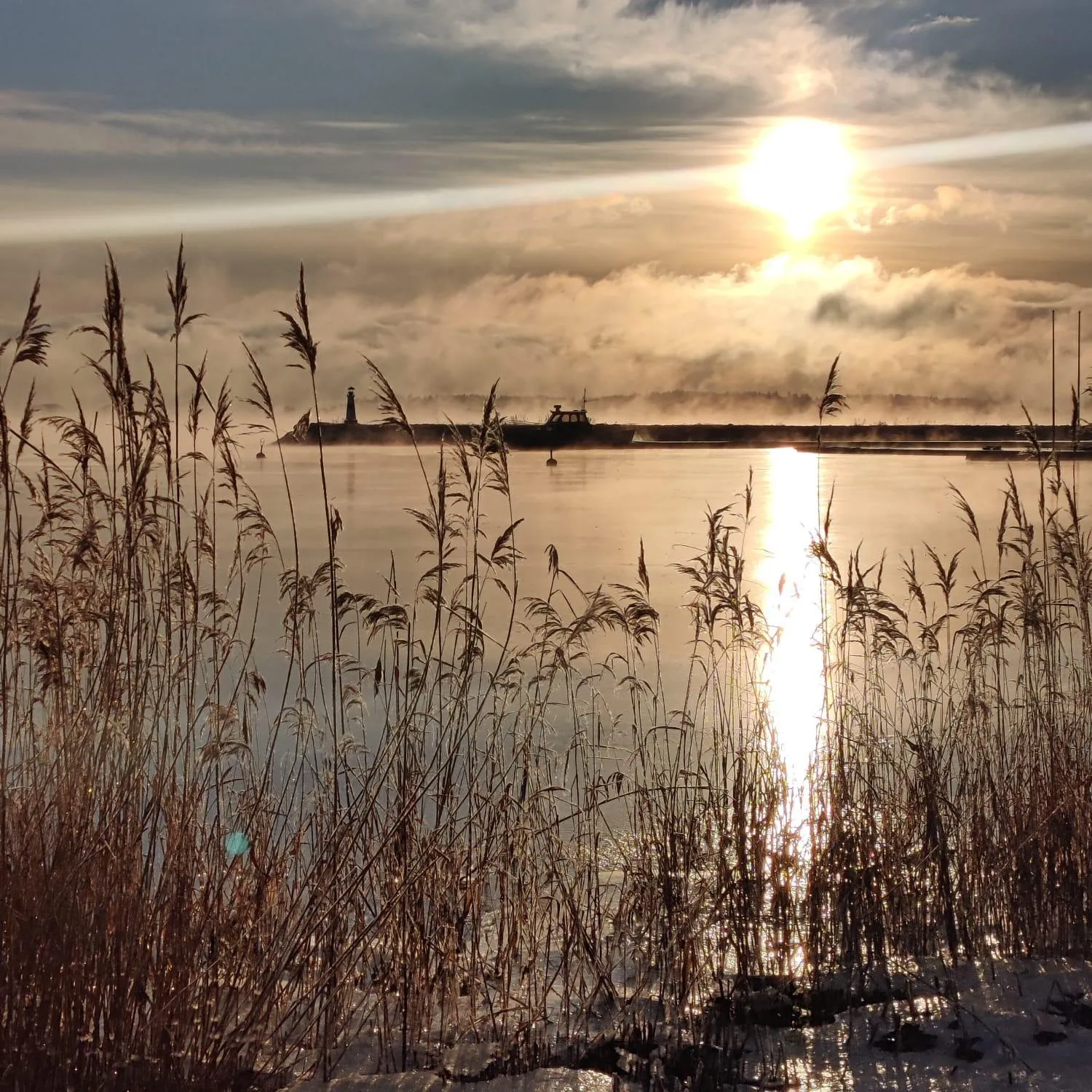 Natural landscape in Beach Hotel Santalahti