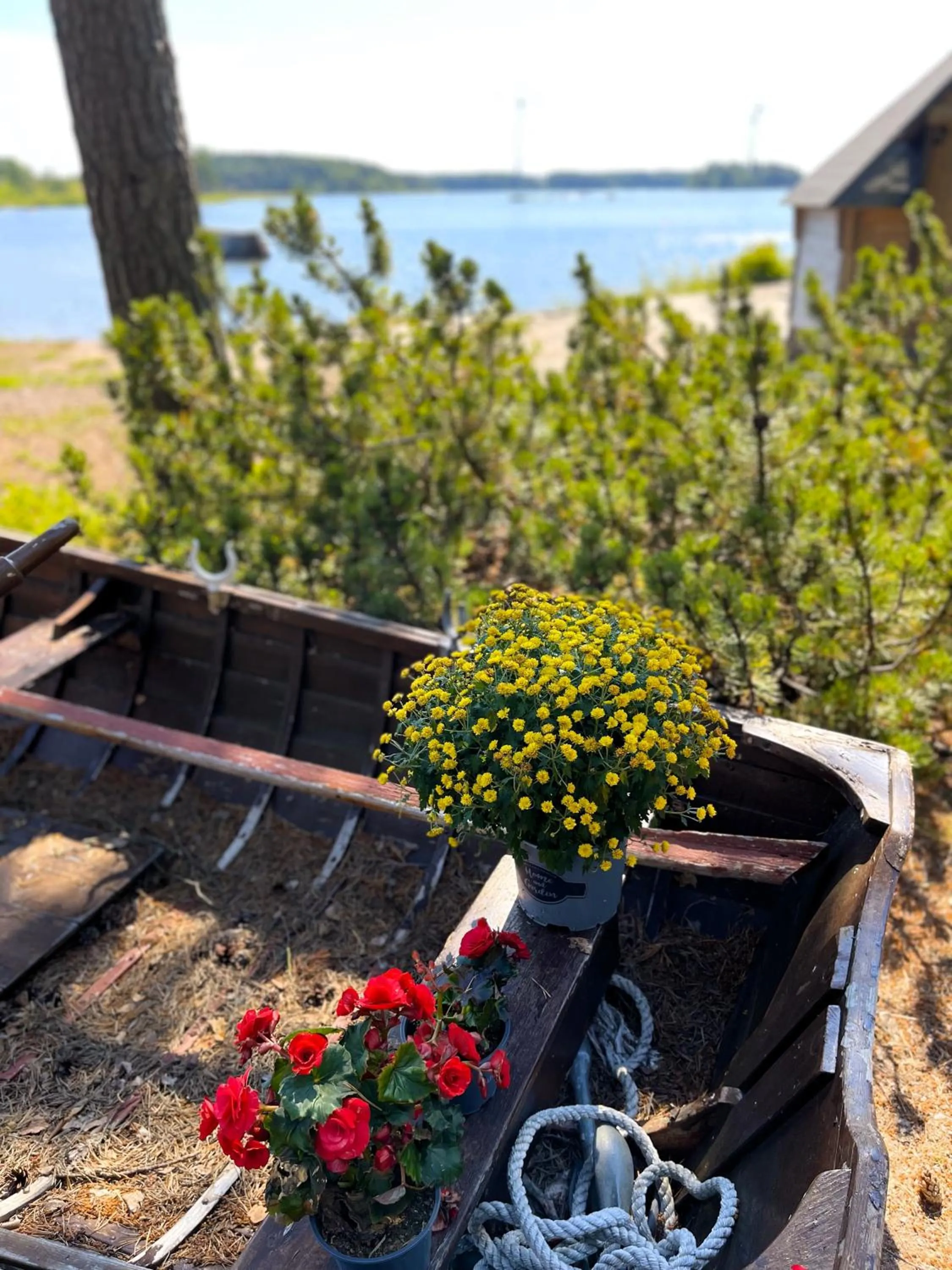 Natural landscape in Beach Hotel Santalahti
