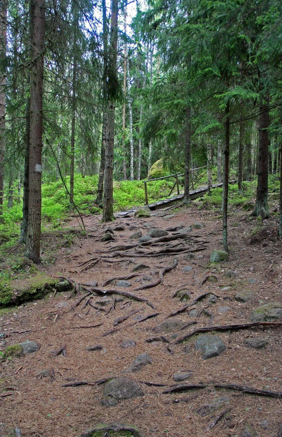 Natural landscape in Beach Hotel Santalahti