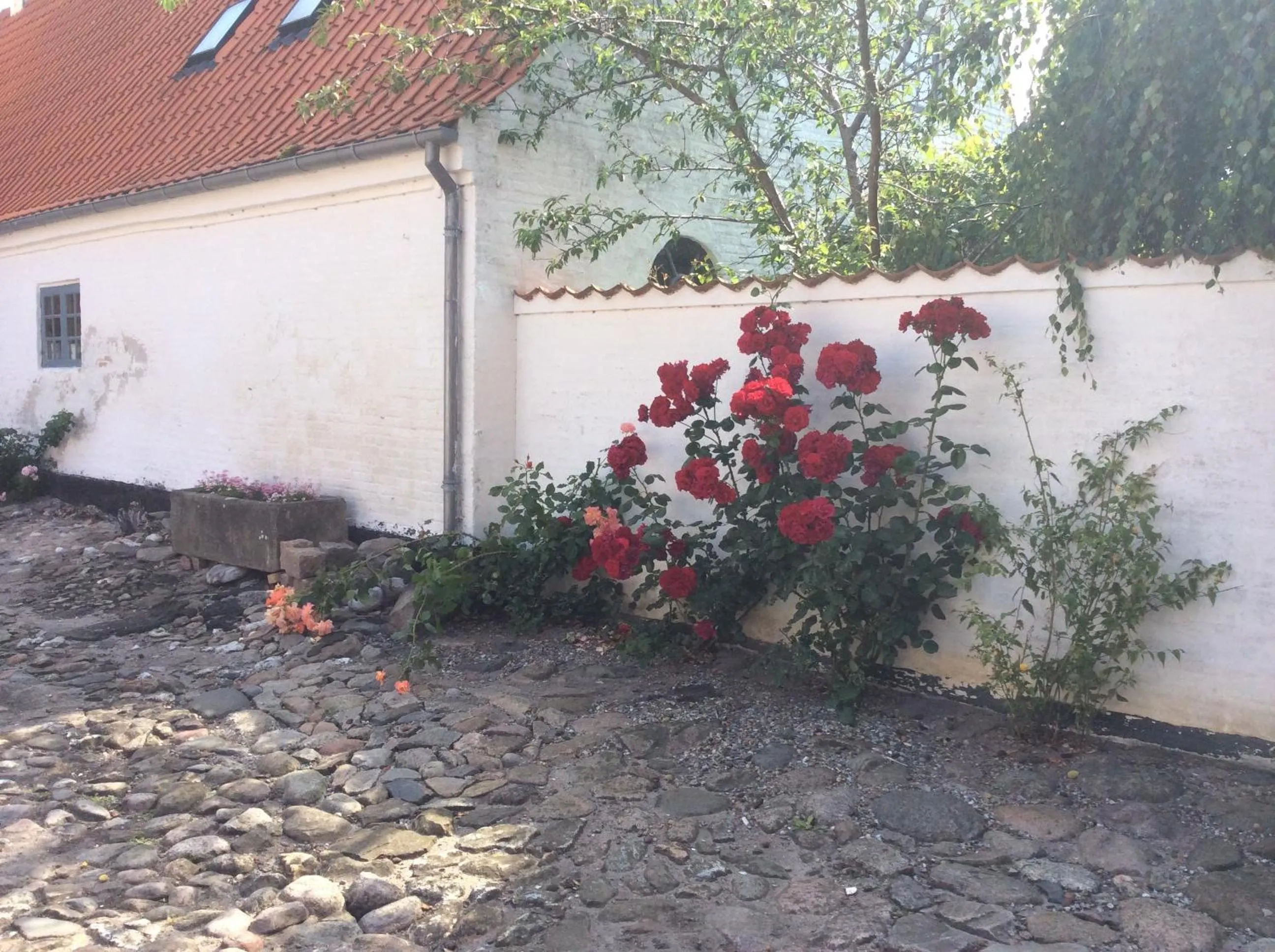 View (from property/room) in Kjobing Manor