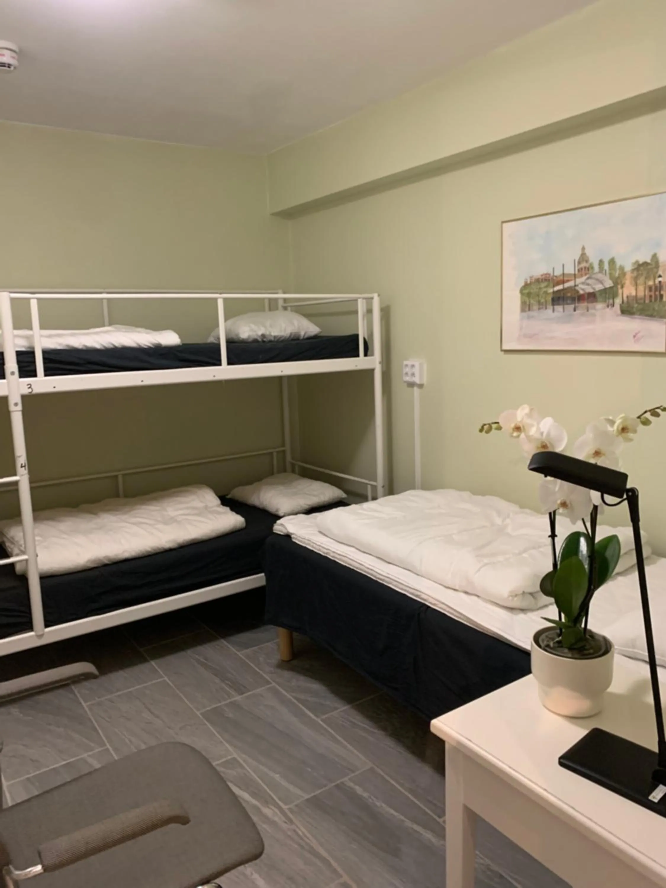 Bed in Hostel Bed & Breakfast