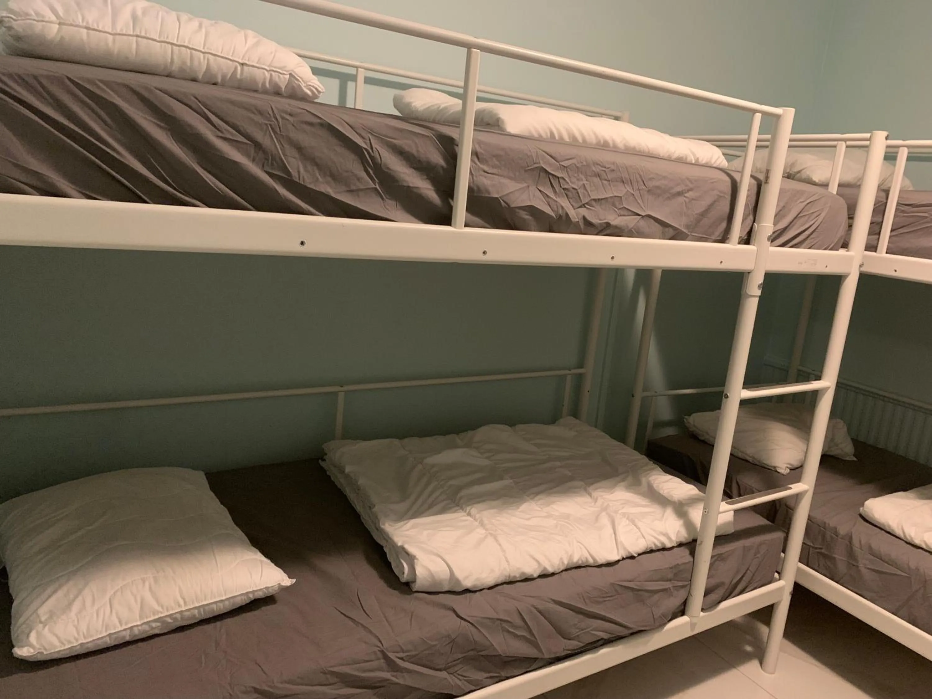 Bed in Hostel Bed & Breakfast