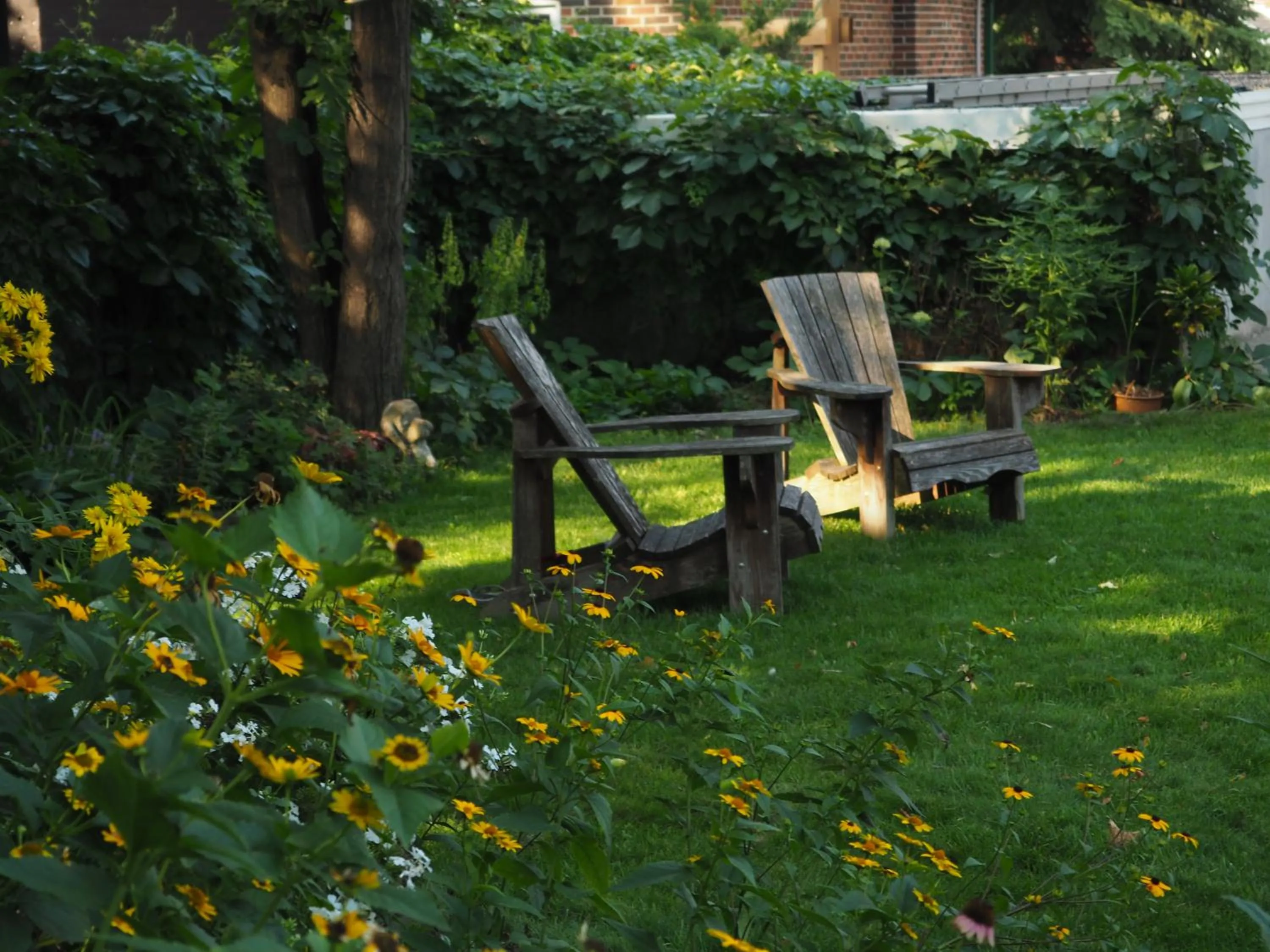 Garden in Parkside House